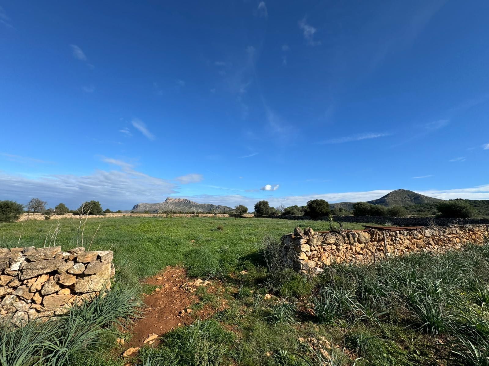 Pisos-Venta-Petra-1977666-Foto-4