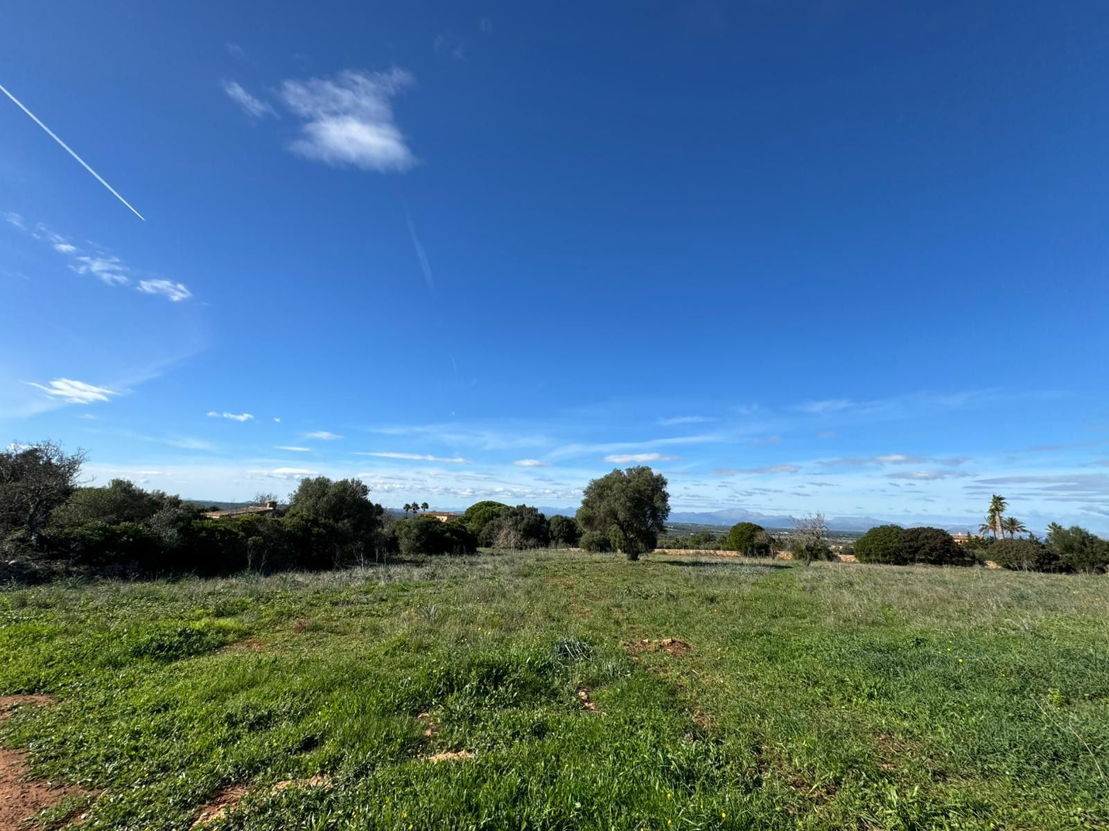 Pisos-Venta-Petra-1977666-Foto-5