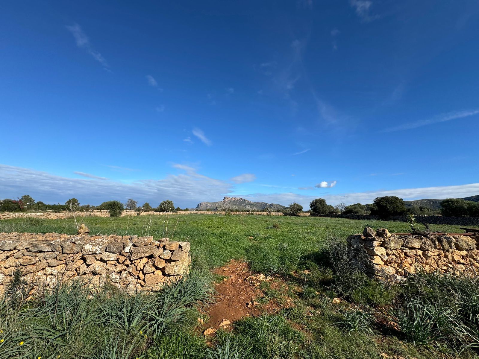 Pisos-Venta-Petra-1977666-Foto-9