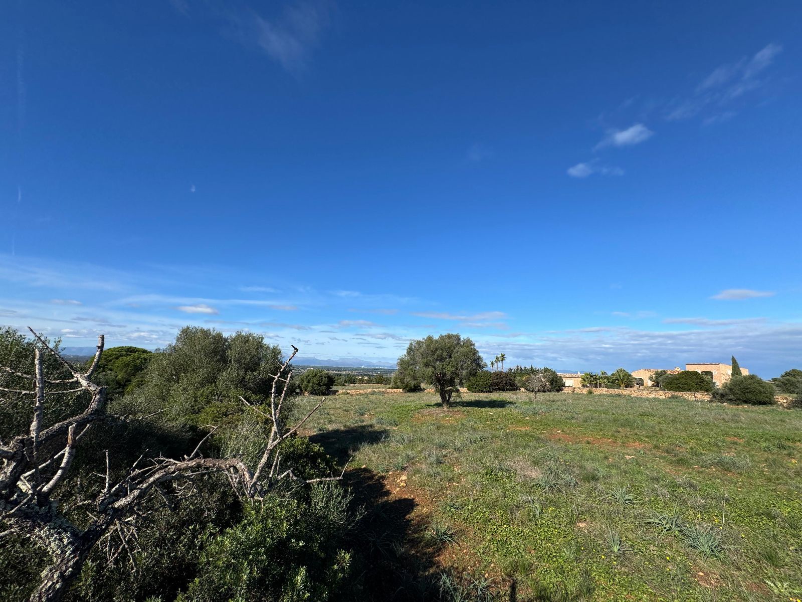 Pisos-Venta-Petra-1977666-Foto-11