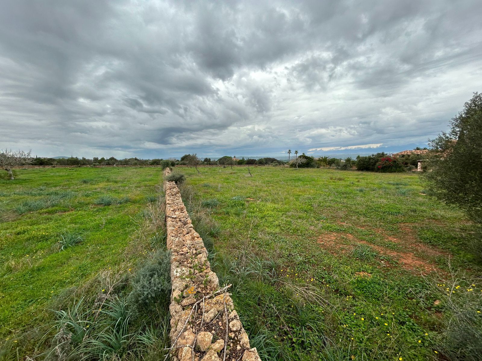 Pisos-Venta-Petra-1977666-Foto-22