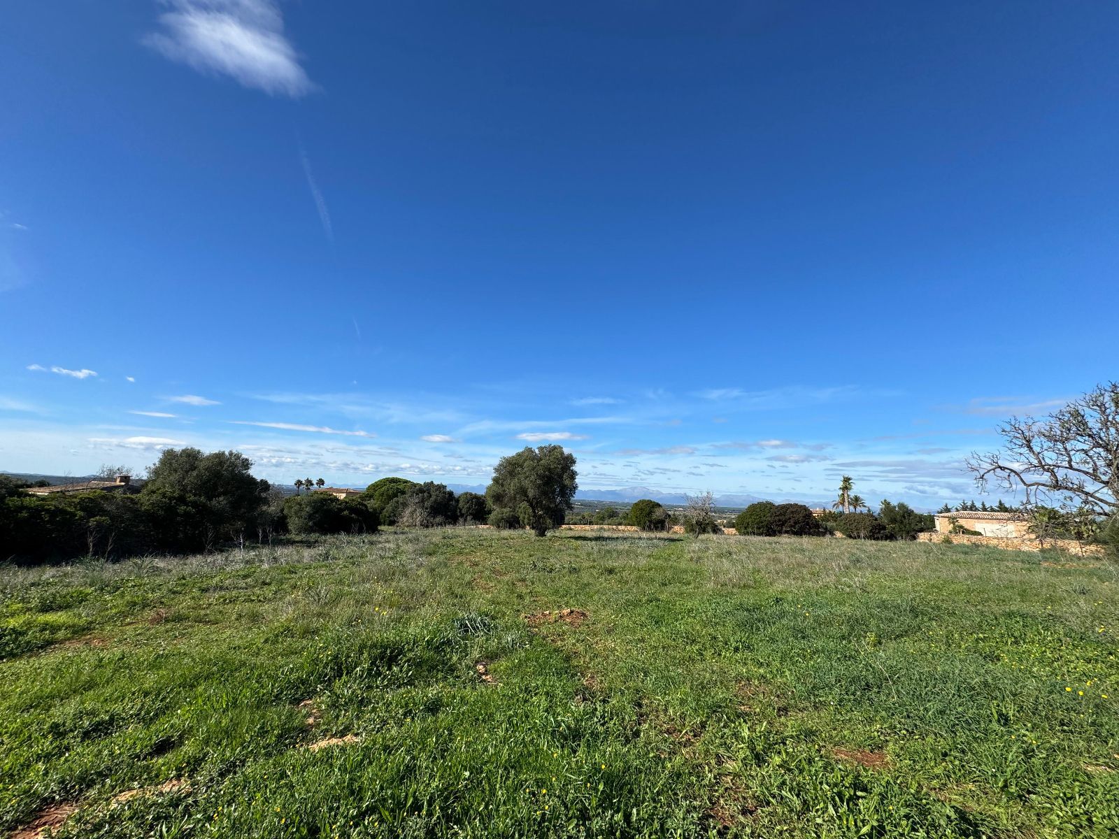 Pisos-Venta-Petra-1977666-Foto-21