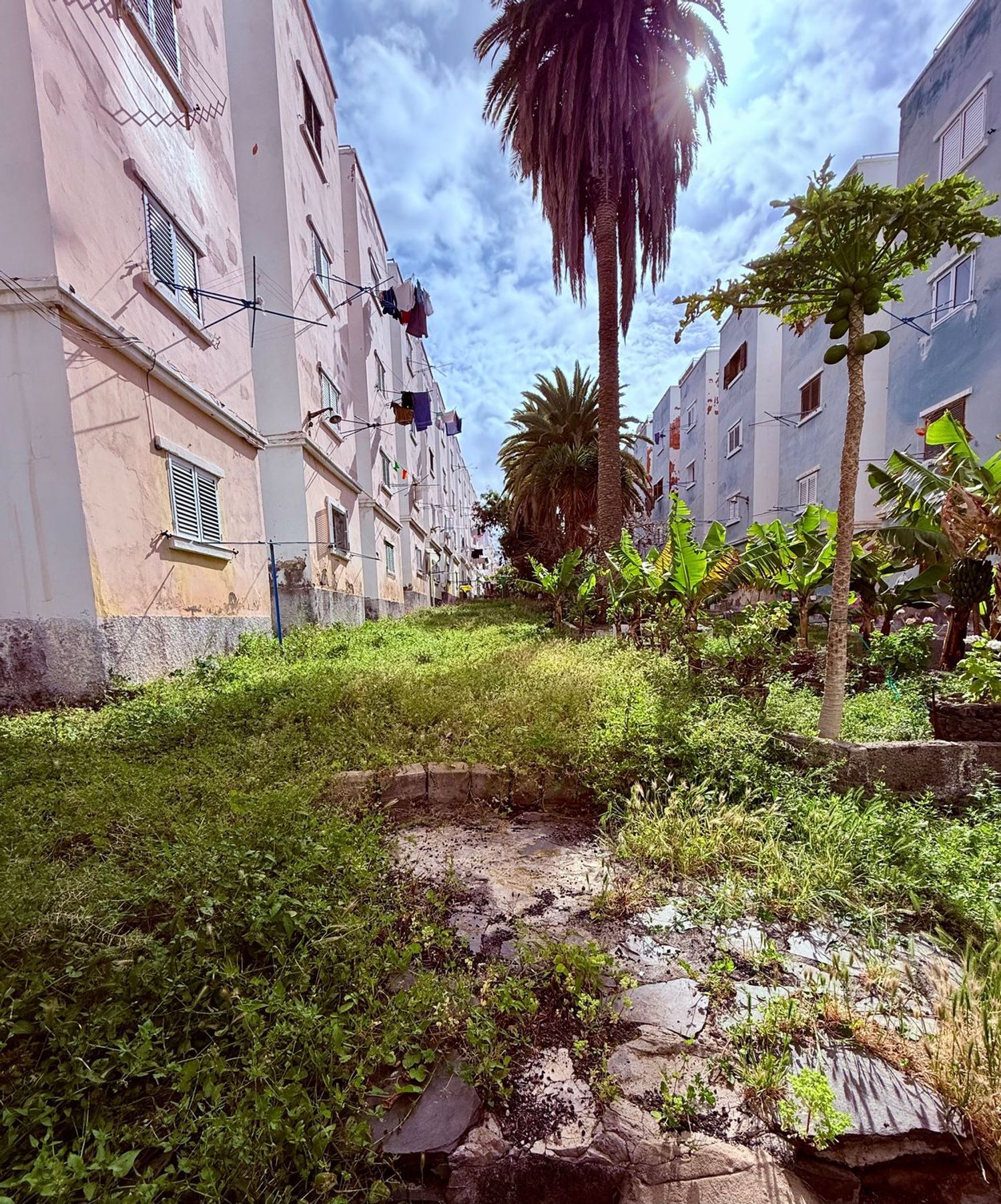 Pisos-Venta-Las Palmas de Gran Canaria-2213671-Foto-24