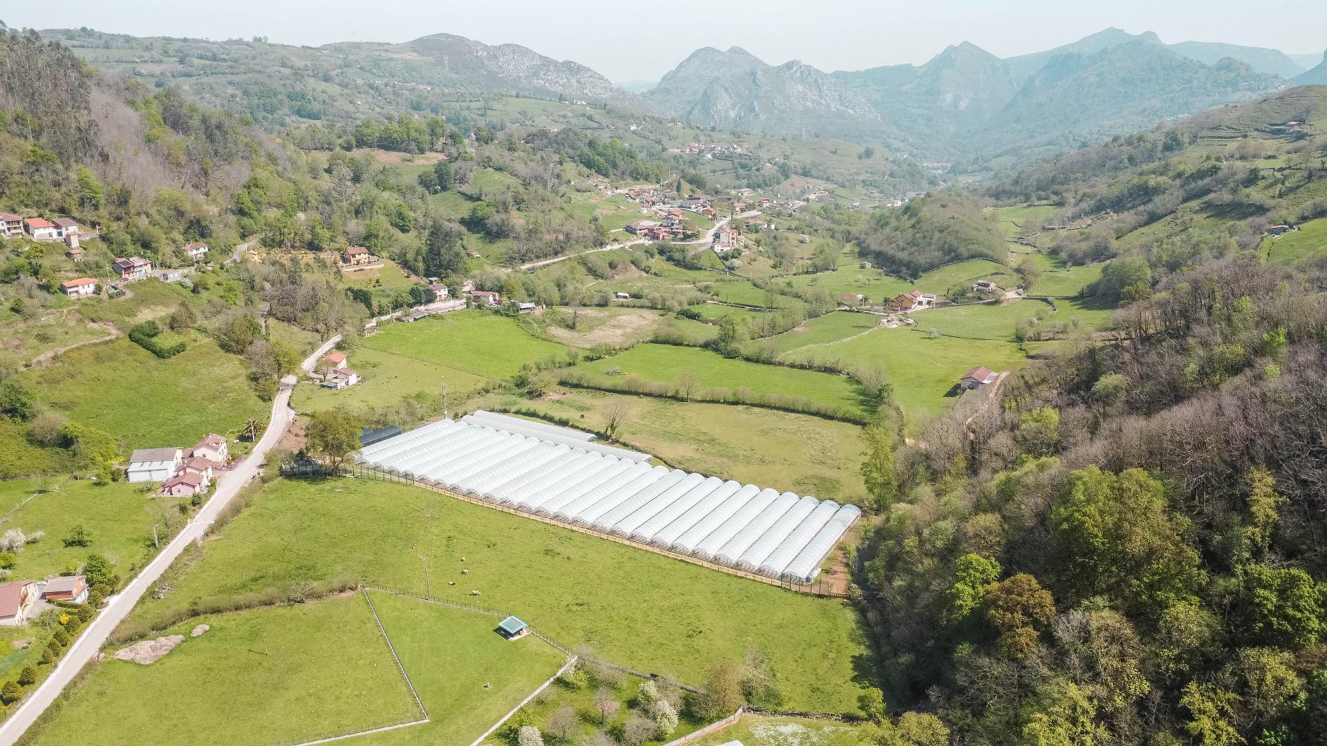 Edificios-Venta-MorcÃ­n-2213707-Foto-69