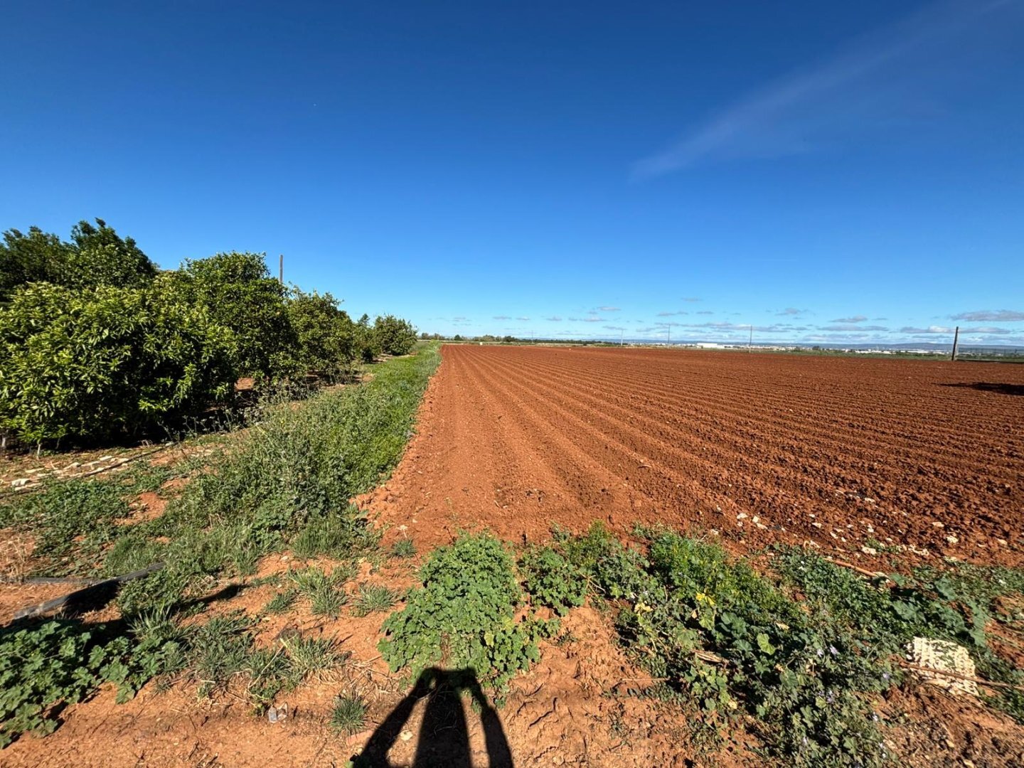 Casas o chalets-Venta-La Rinconada-2213704-Foto-33