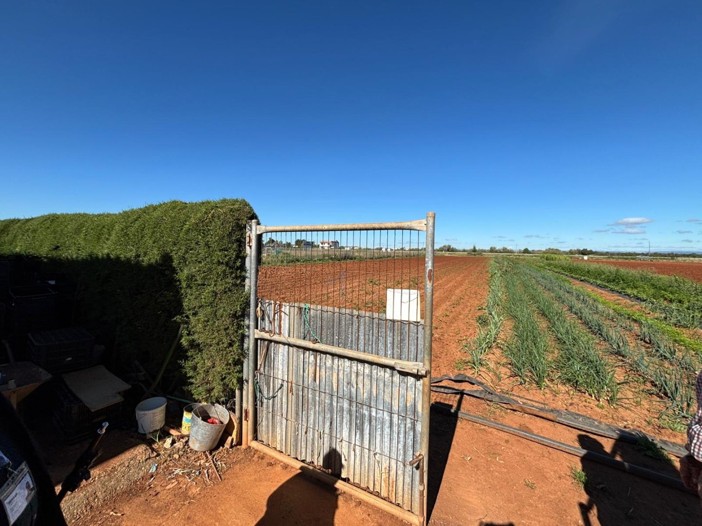 Casas o chalets-Venta-La Rinconada-2213704-Foto-39