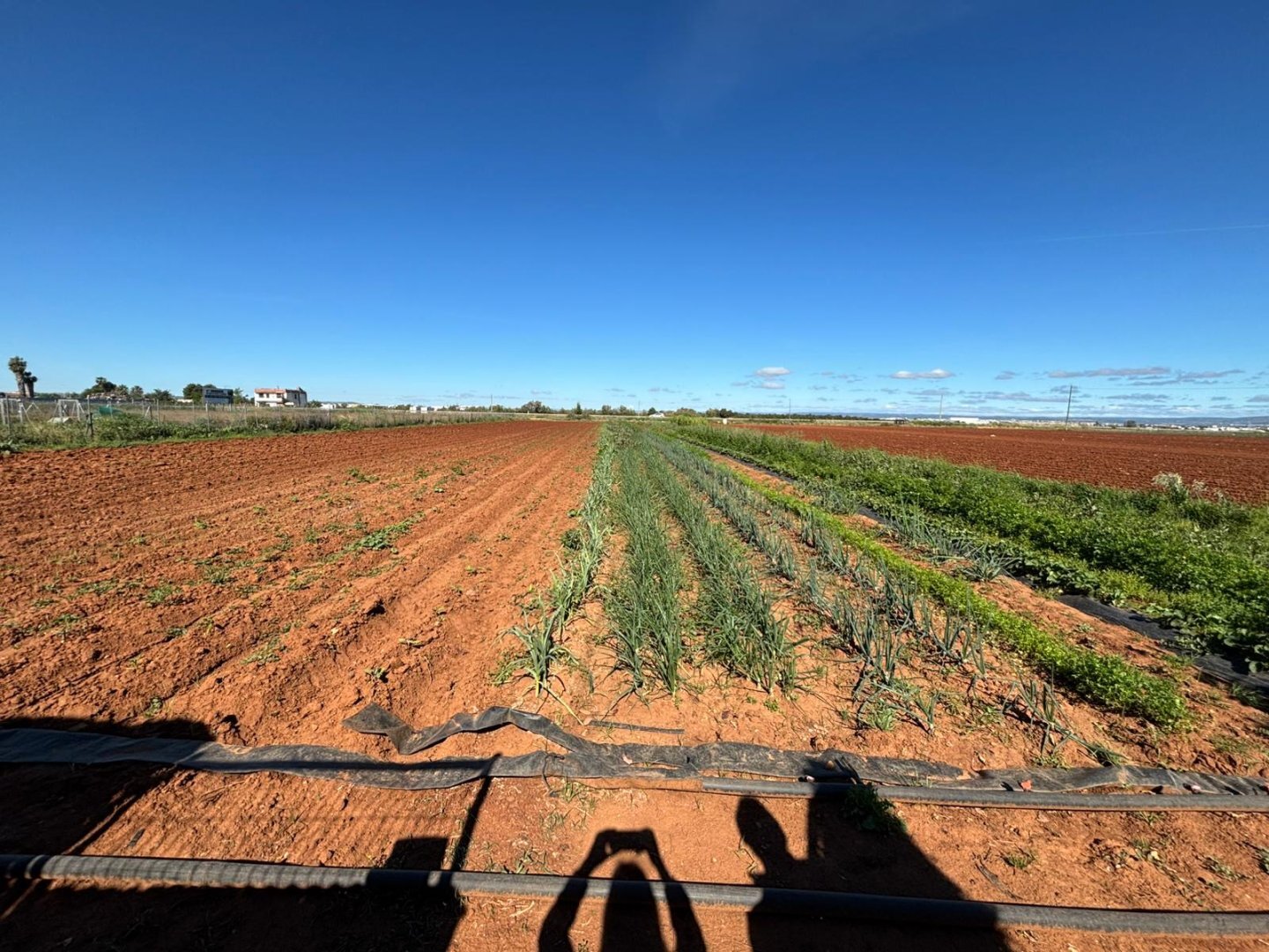 Casas o chalets-Venta-La Rinconada-2213704-Foto-40