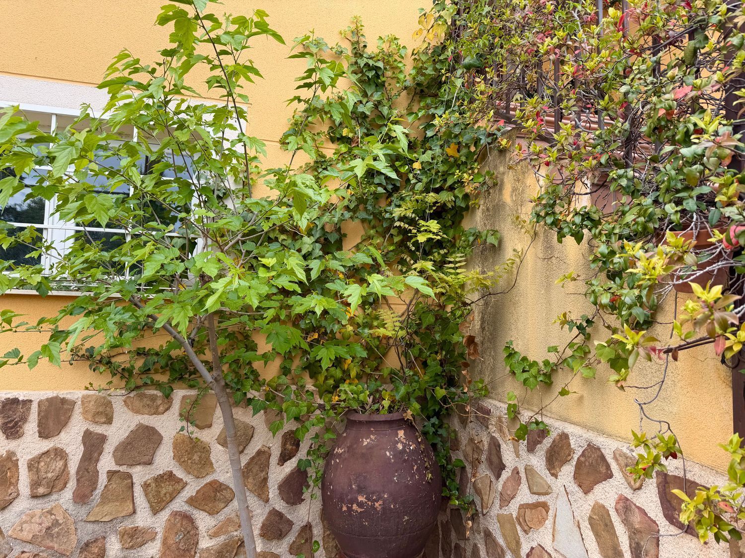 Casas o chalets-Venta-Toledo-2207080-Foto-5