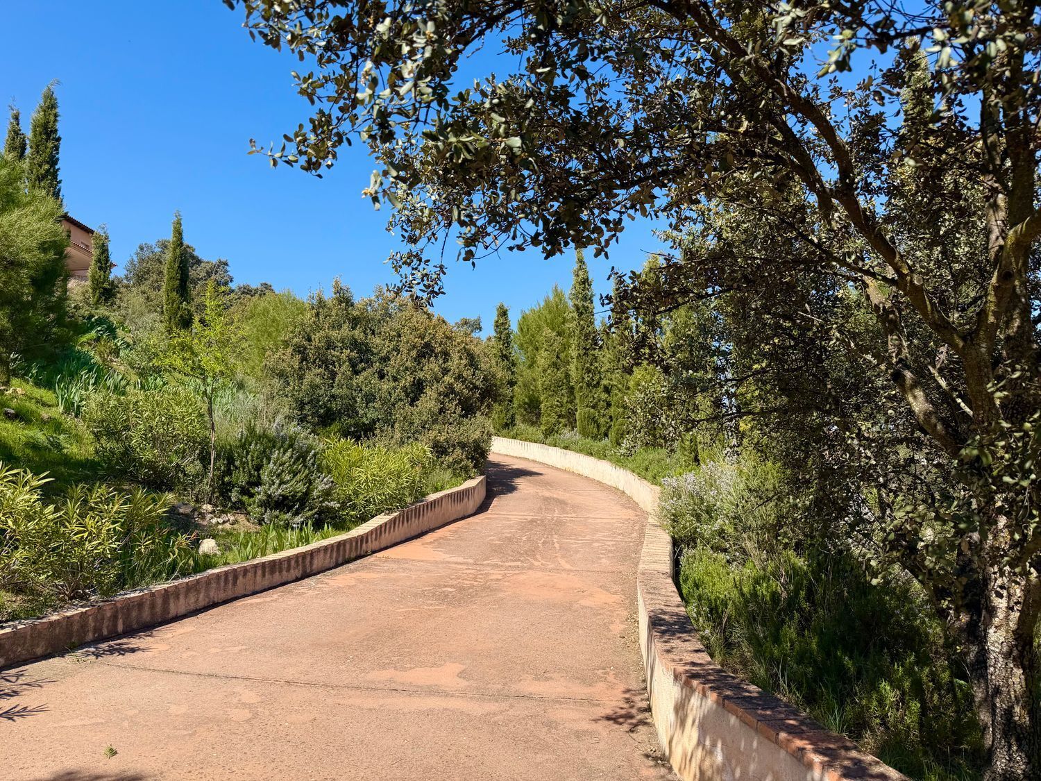 Casas o chalets-Venta-Toledo-2207080-Foto-18