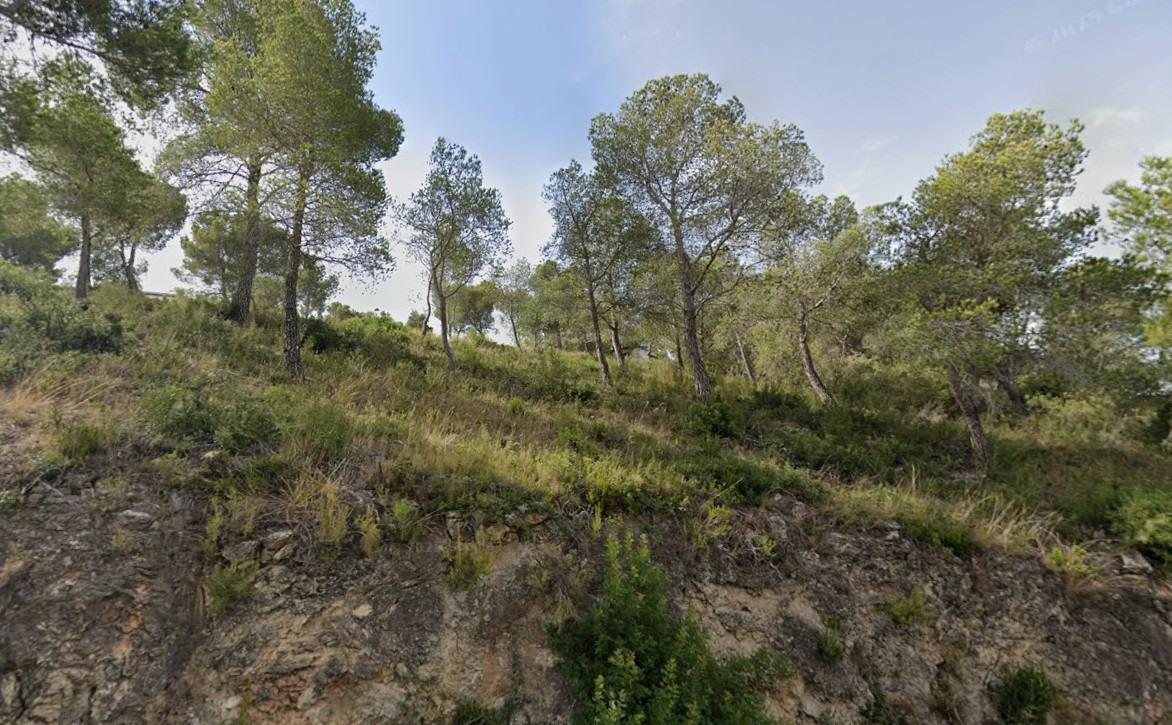 Suelo en venta, La Bisbal del Penedès