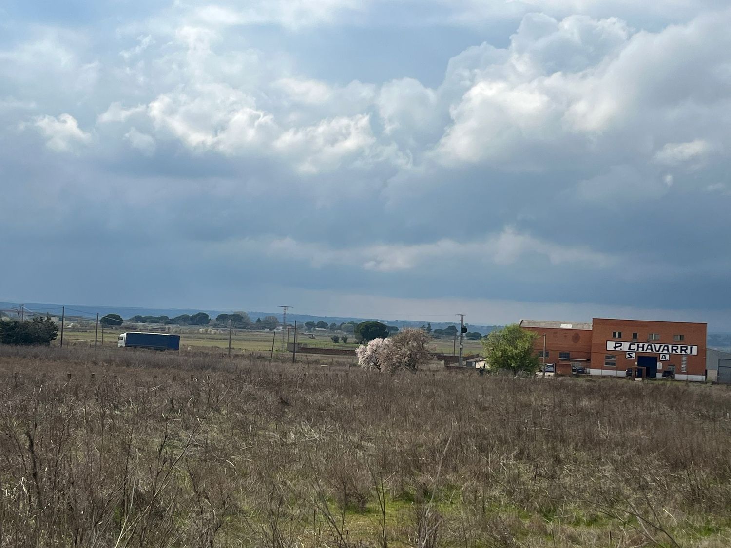 Fincas y solares-Venta-Fuente el Saz de Jarama-2238196-Foto-13