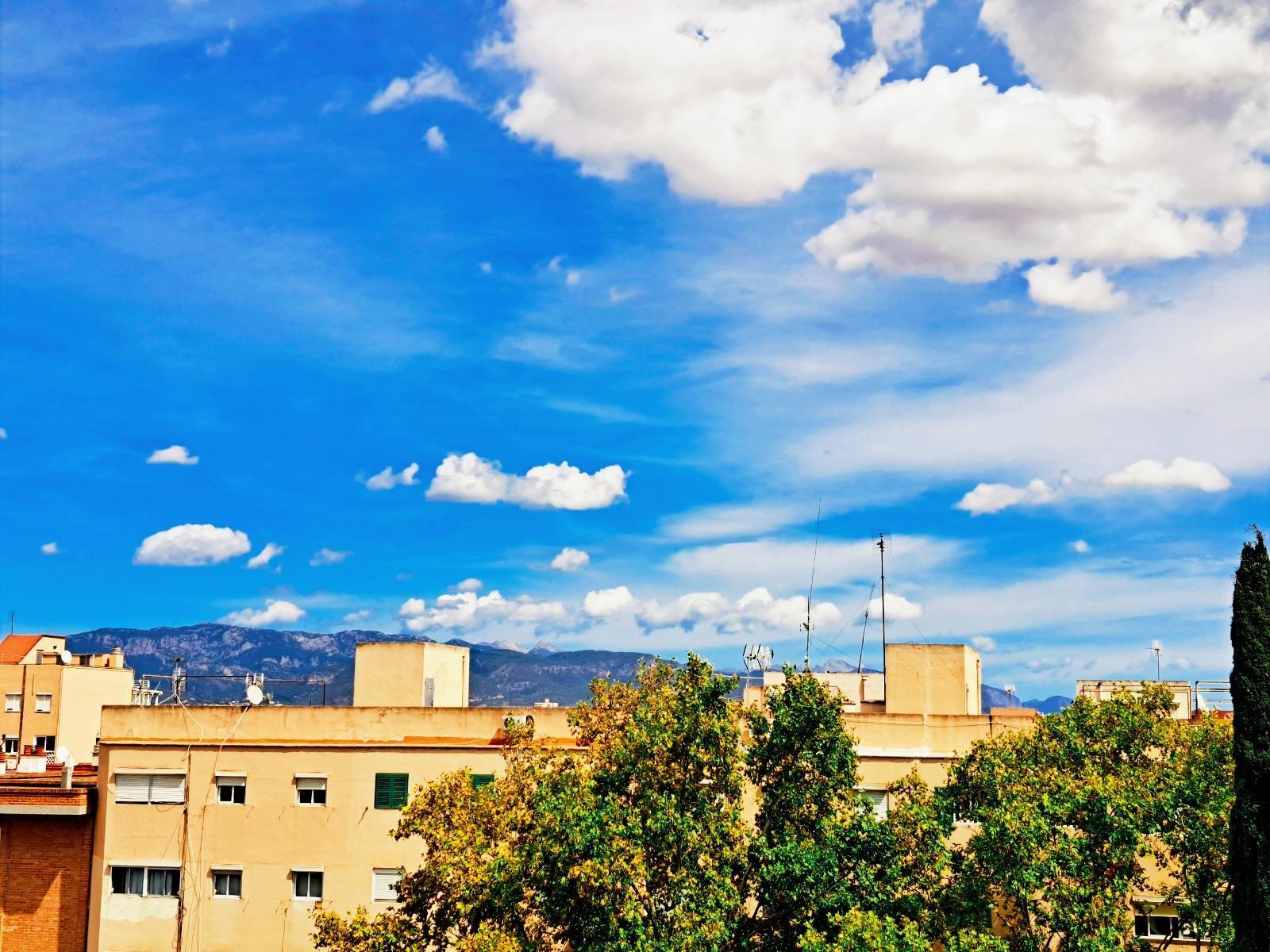 Vistas