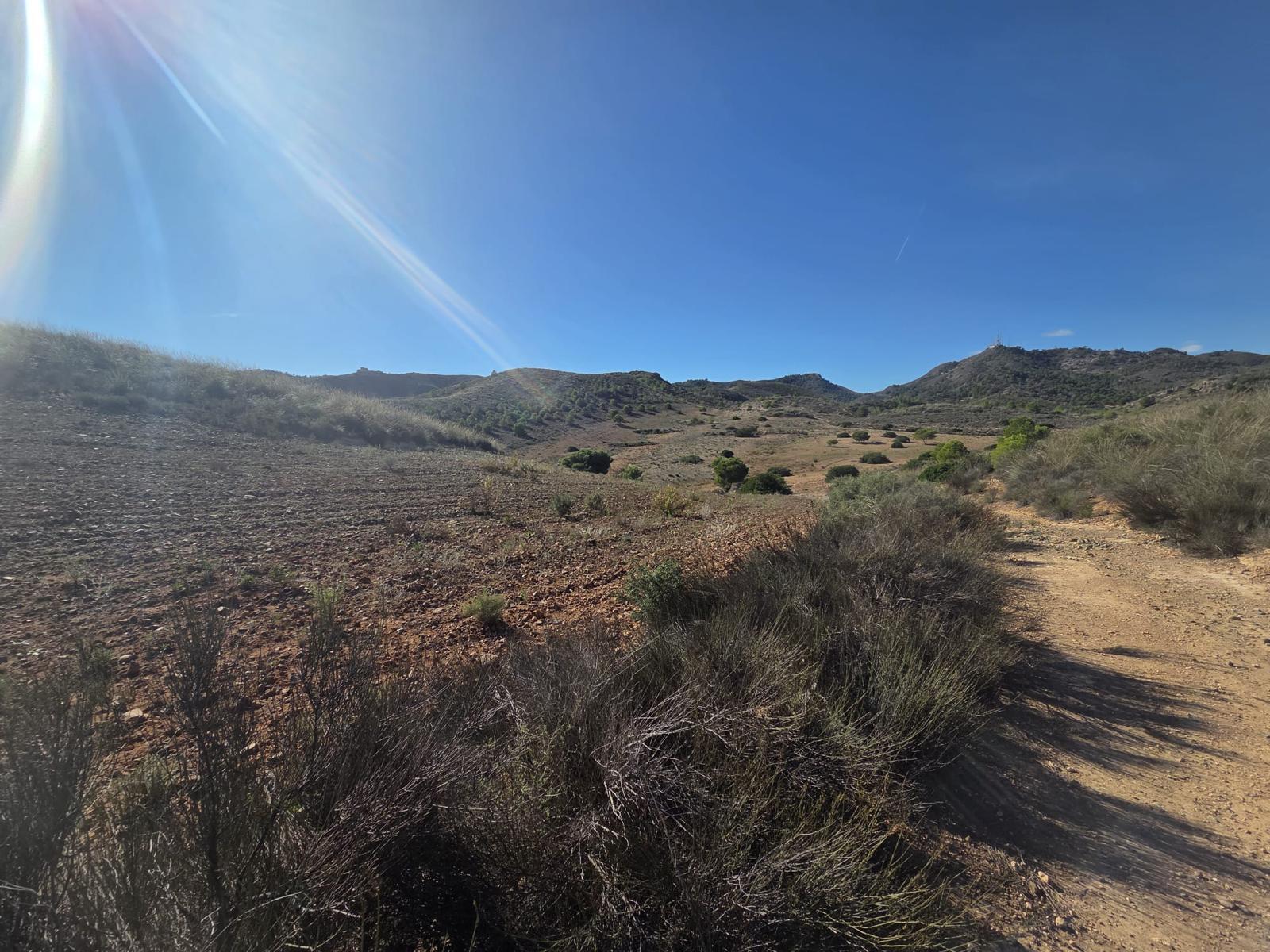 Pisos-Venta-Cuevas de Almanzora-2238208-Foto-9