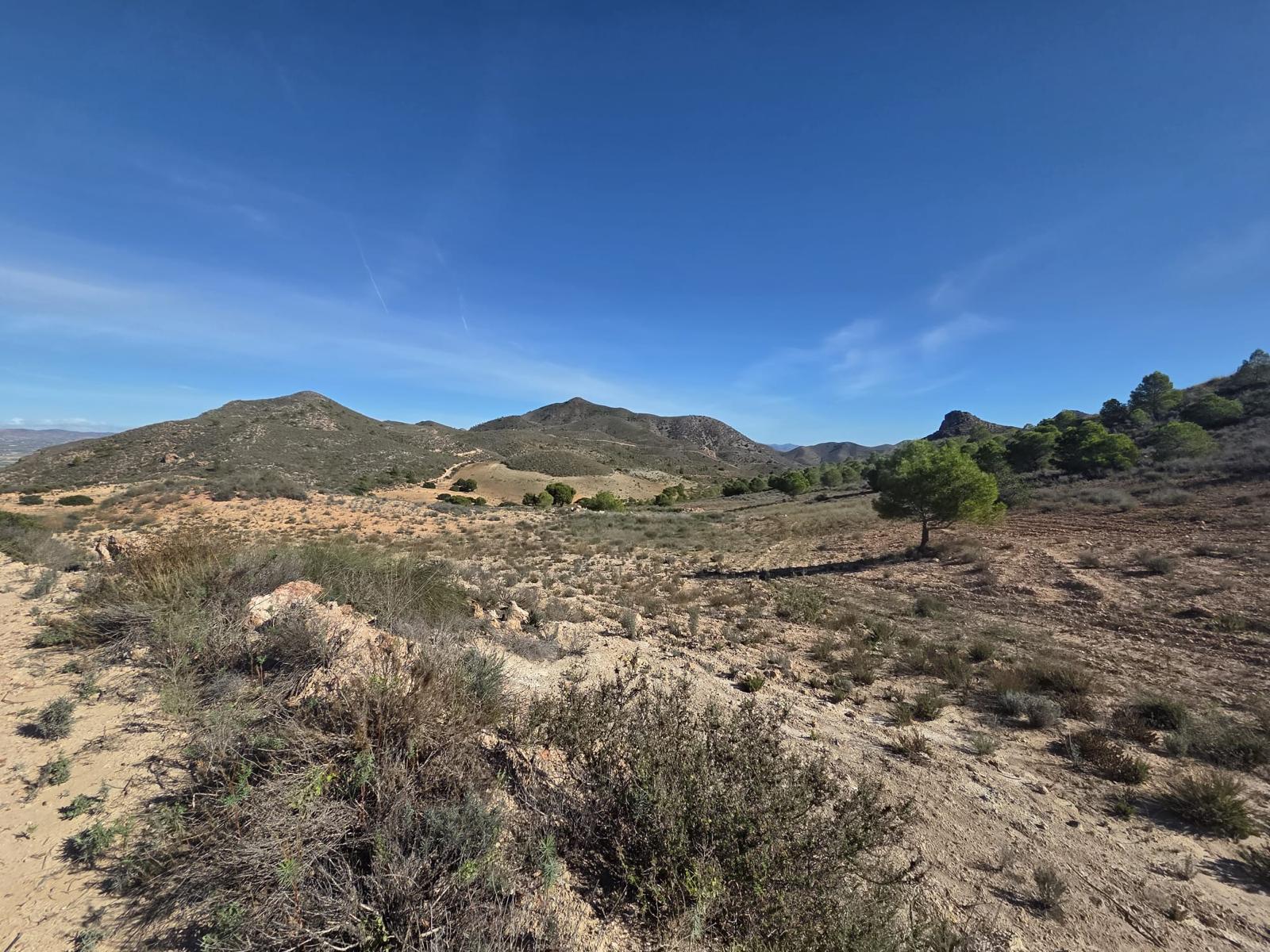 Pisos-Venta-Cuevas de Almanzora-2238208-Foto-10