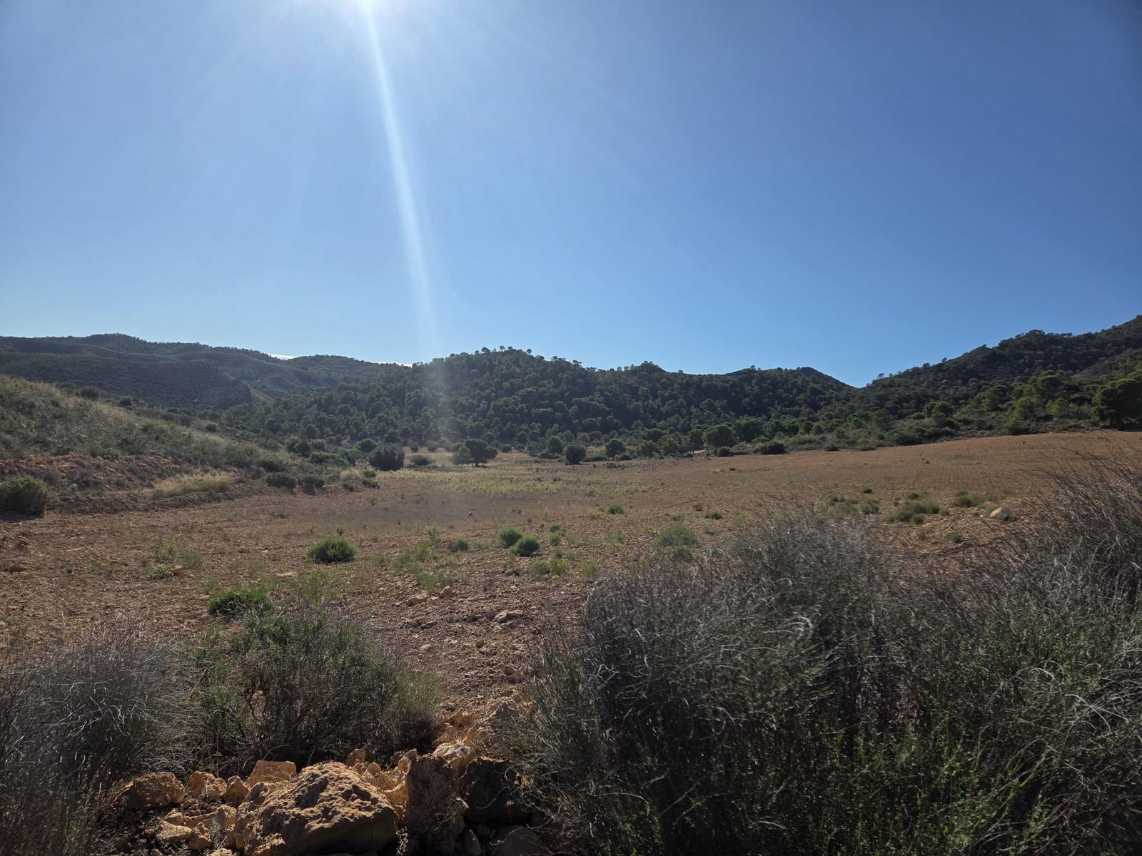 Pisos-Venta-Cuevas de Almanzora-2238208-Foto-20