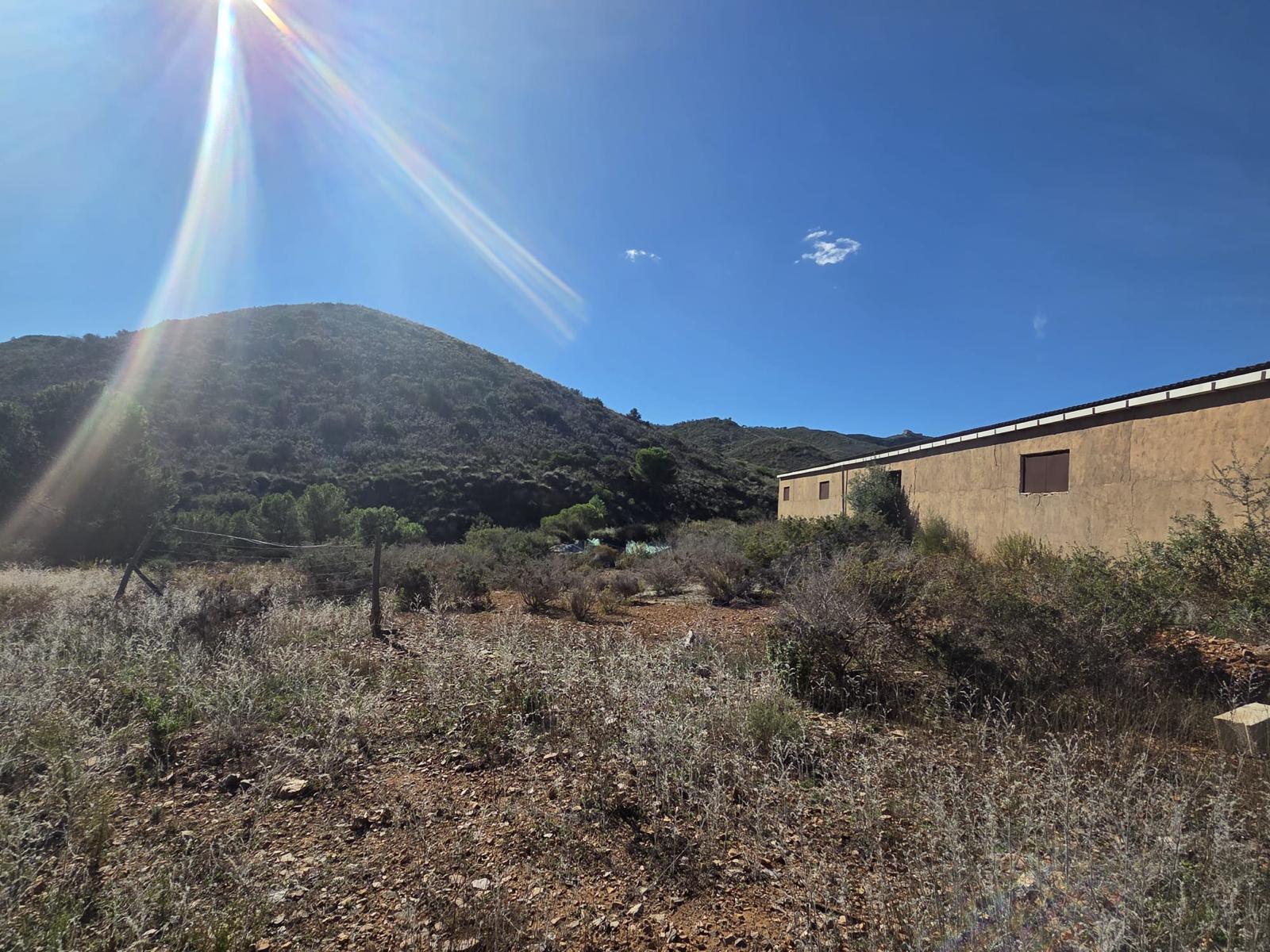 Pisos-Venta-Cuevas de Almanzora-2238208-Foto-16