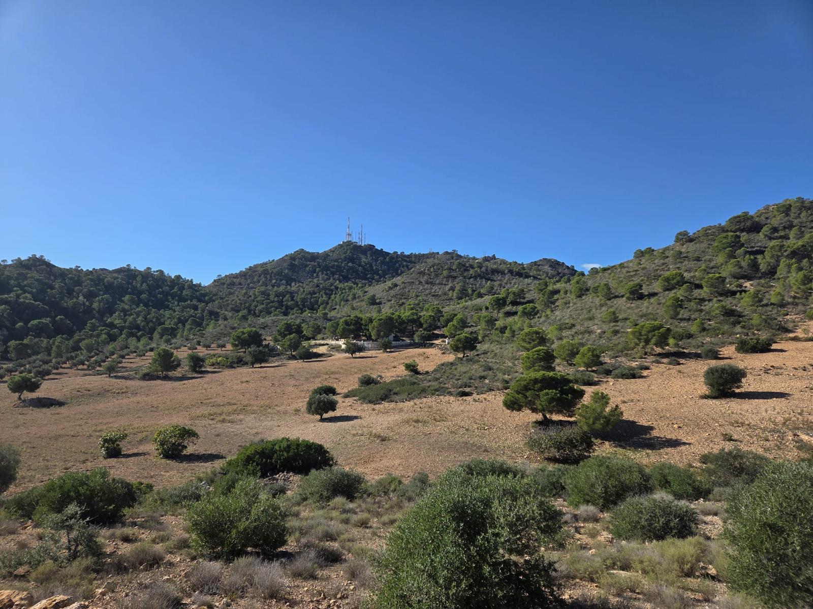 Pisos-Venta-Cuevas de Almanzora-2238208-Foto-22