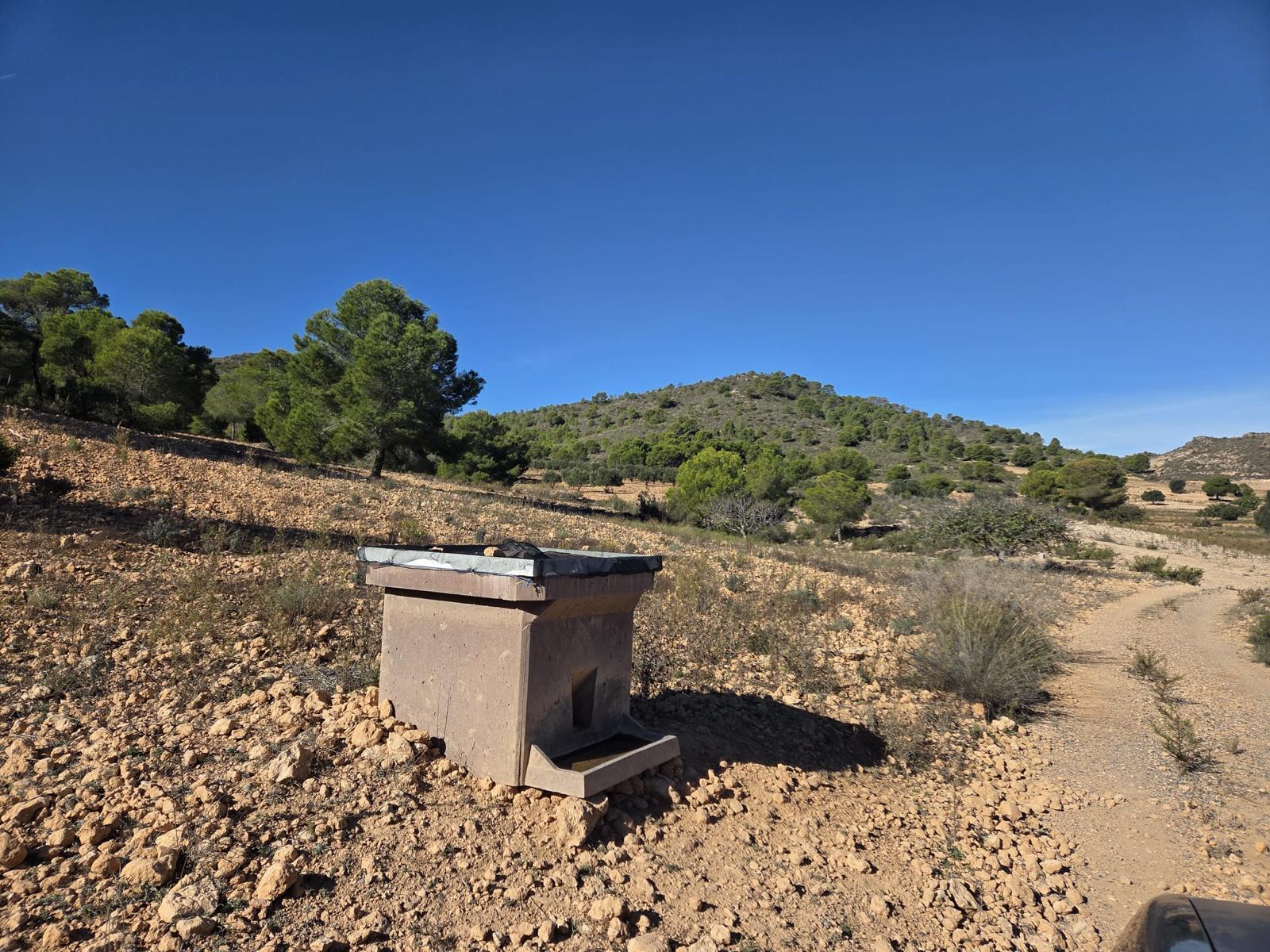 Pisos-Venta-Cuevas de Almanzora-2238208-Foto-24