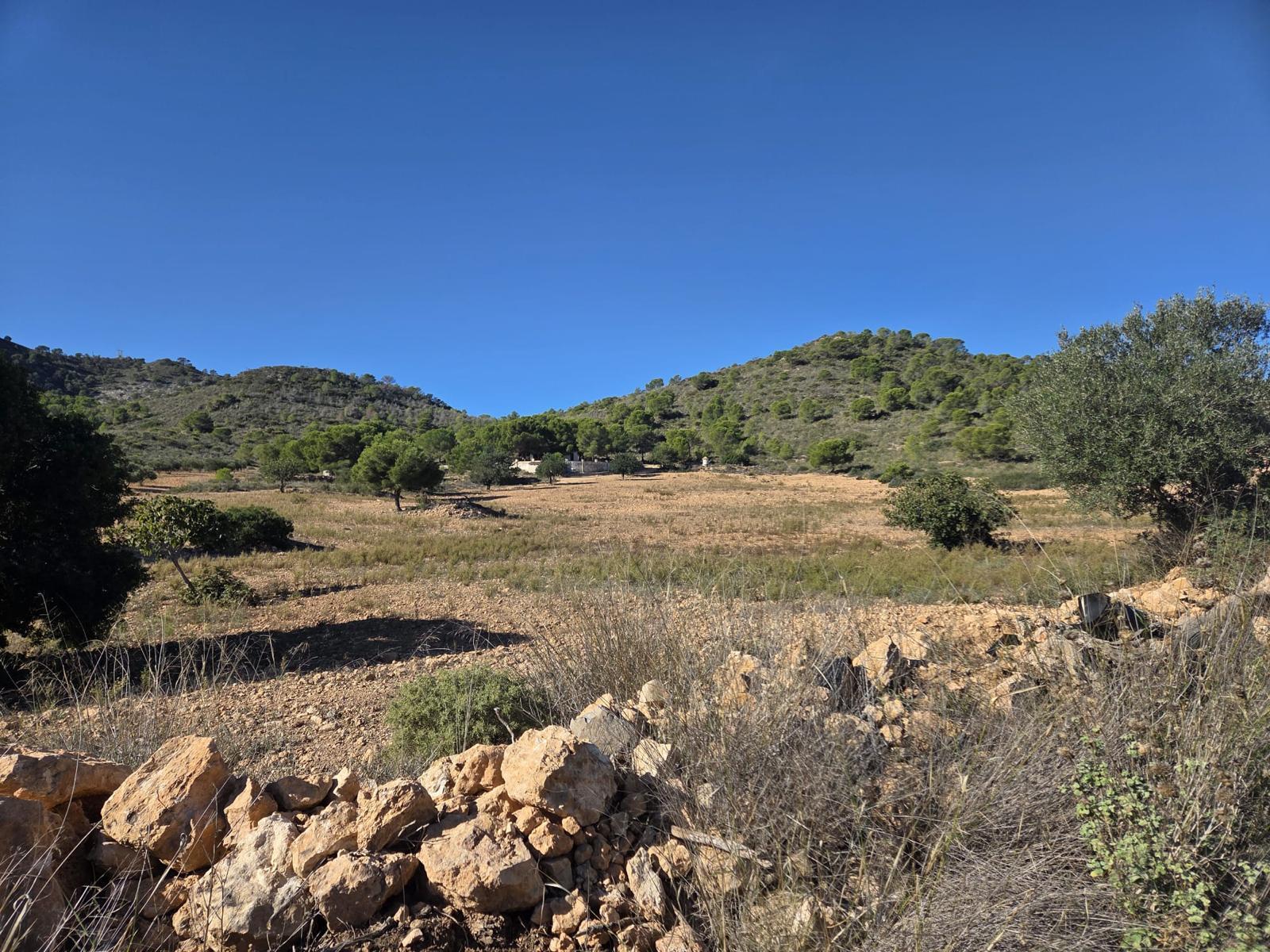 Pisos-Venta-Cuevas de Almanzora-2238208-Foto-23