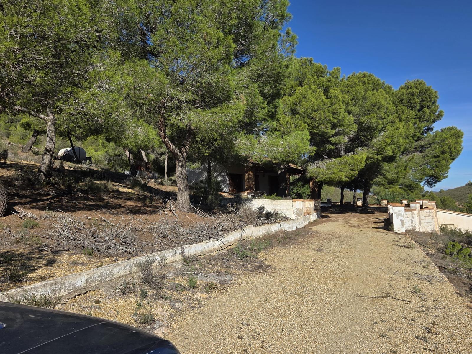 Pisos-Venta-Cuevas de Almanzora-2238208-Foto-25