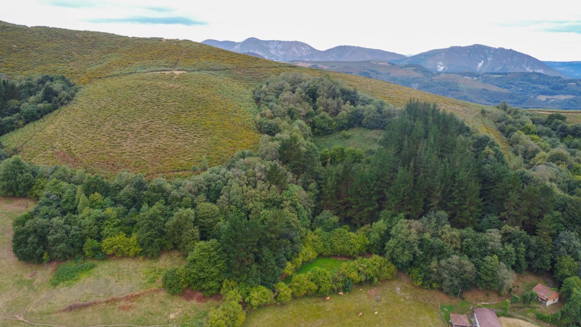 Pisos-Venta-El Grado-2238223-Foto-27