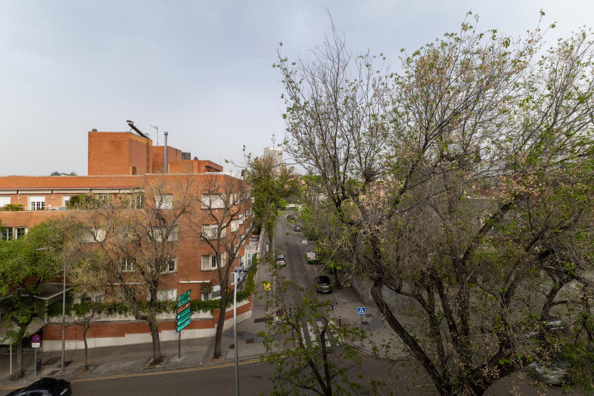 Oficinas-Alquiler-Madrid-2238232-Foto-4