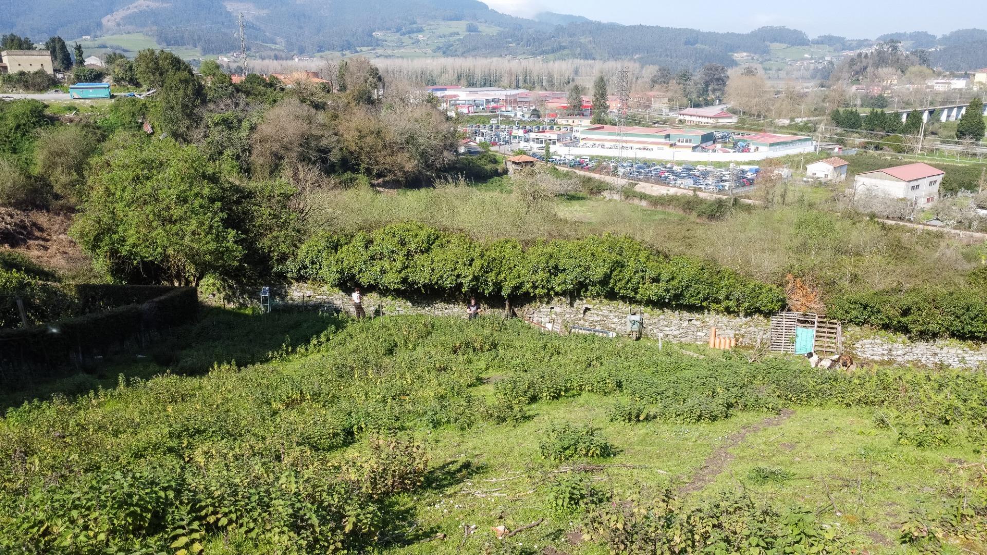 Fincas y solares-Venta-Pravia-2202117