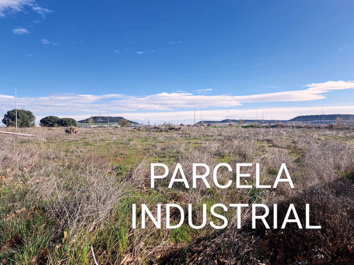 Fincas y solares-Venta-Laguna de Duero-1834960