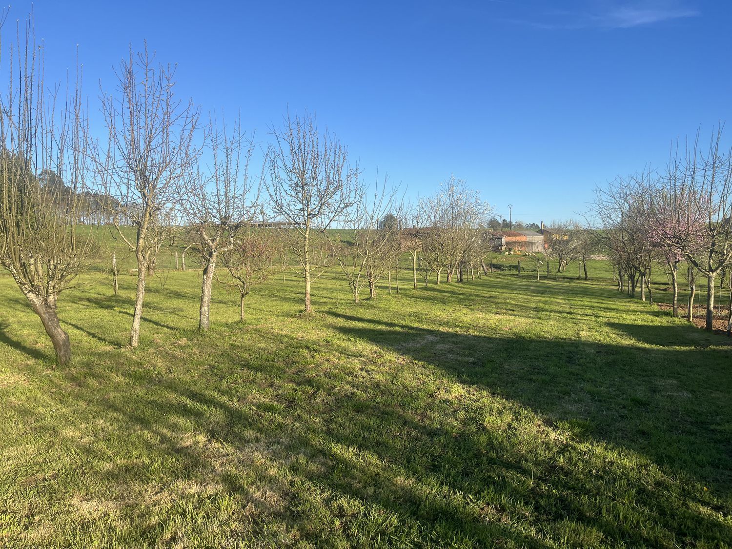 Casas o chalets-Venta-ArzÃºa-2238599-Foto-7