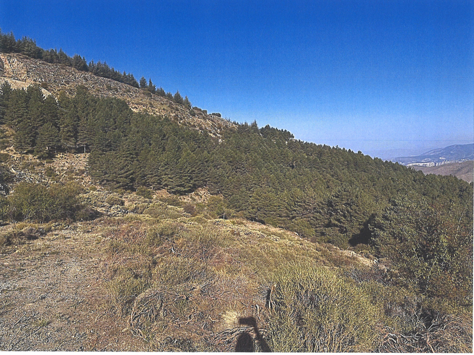 Fincas y solares-Venta-Güejar Sierra-2150804-Foto-8