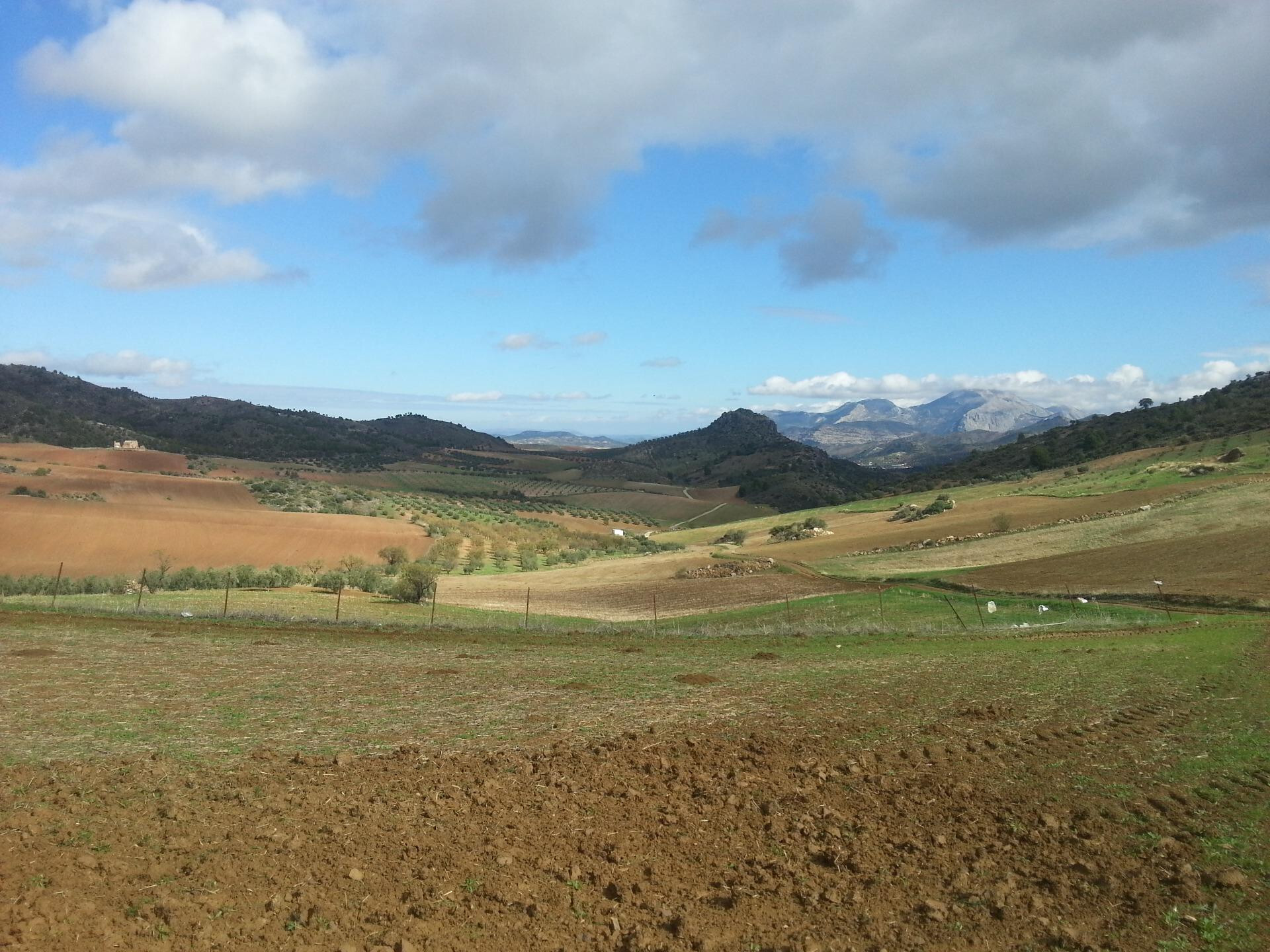 Fincas y solares-Venta-Ardales-2210561-Foto-3