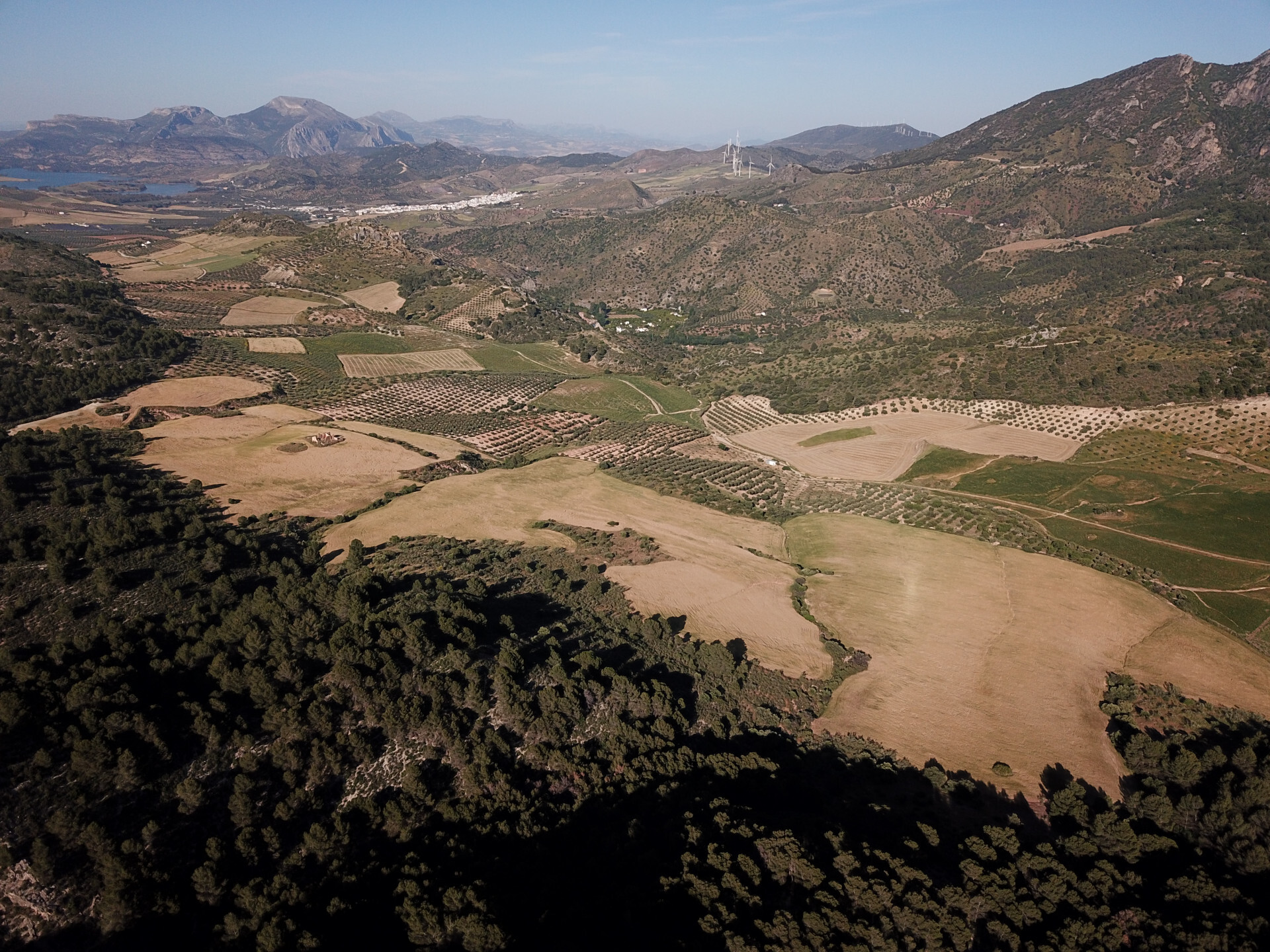 Fincas y solares-Venta-Ardales-2210561-Foto-35