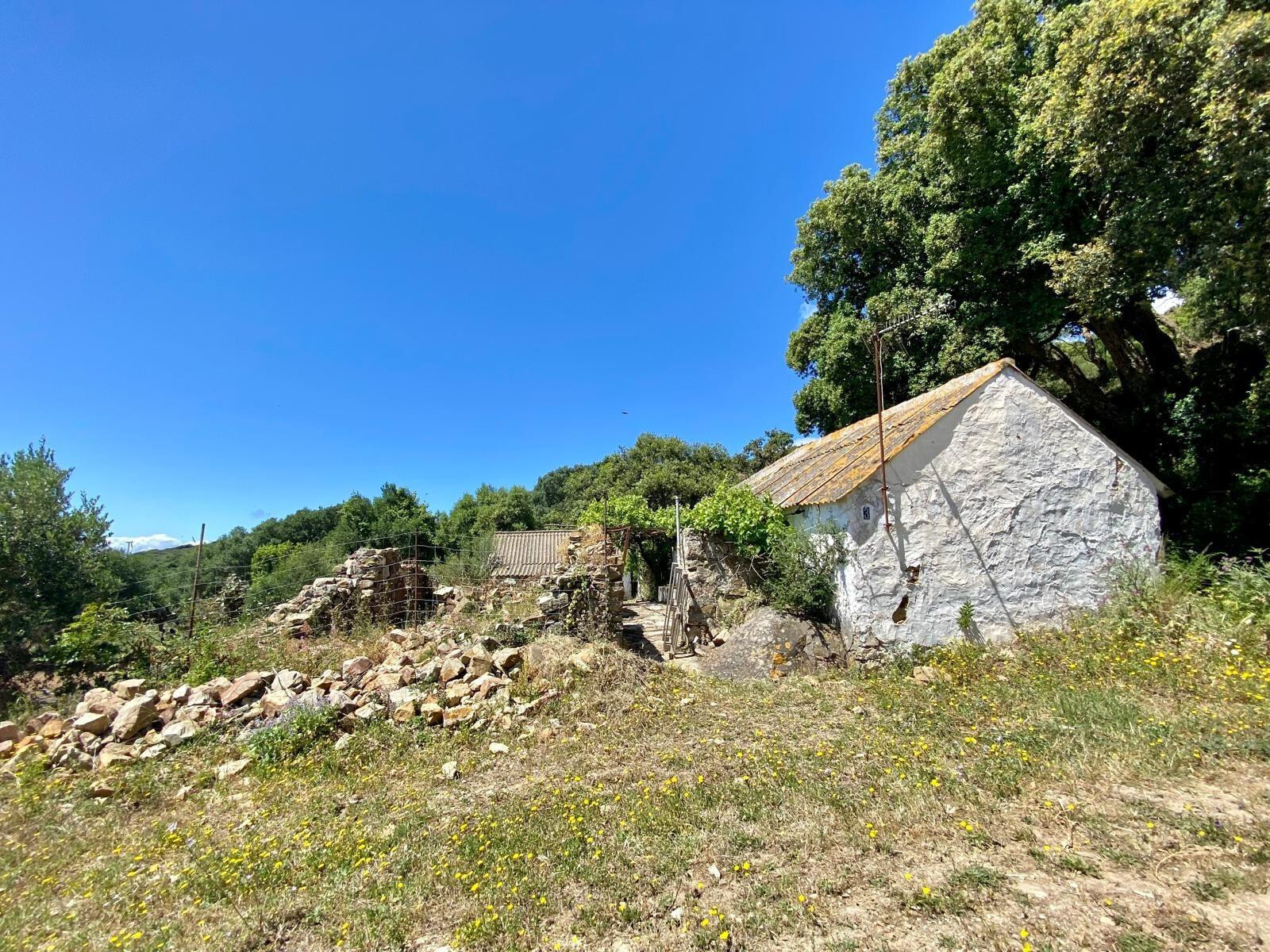 Fincas y solares-Venta-Tarifa-1830756-Foto-6