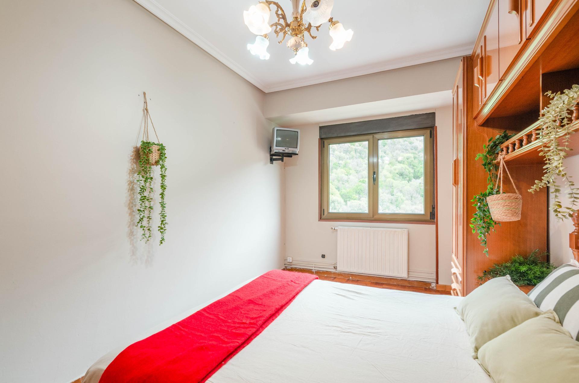 Pisos-Venta-Aller-2238641-Foto-15