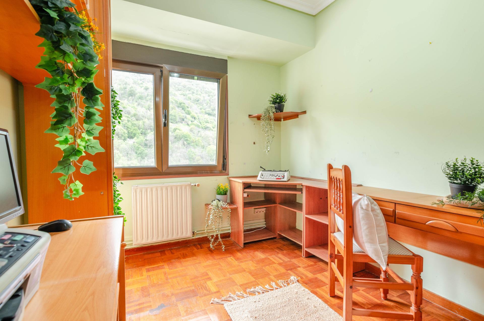 Pisos-Venta-Aller-2238641-Foto-21