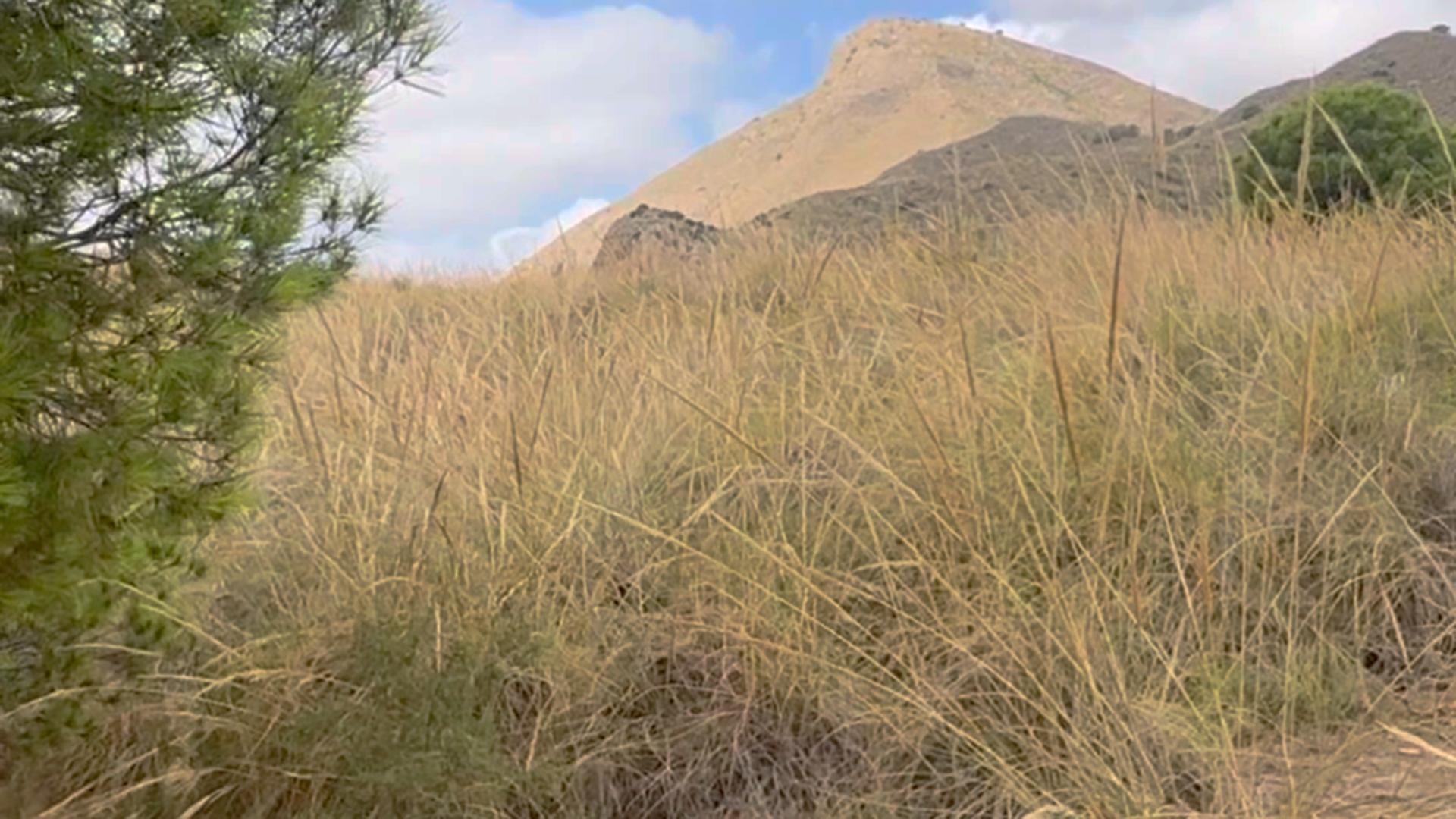 Pisos-Venta-Lorca-1886625-Foto-14