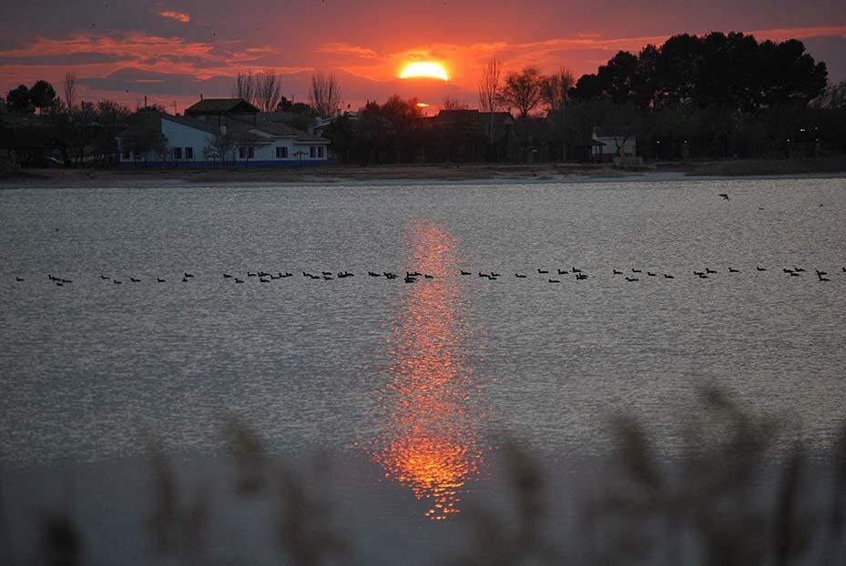 Apartment in Villafranca de los Caballeros