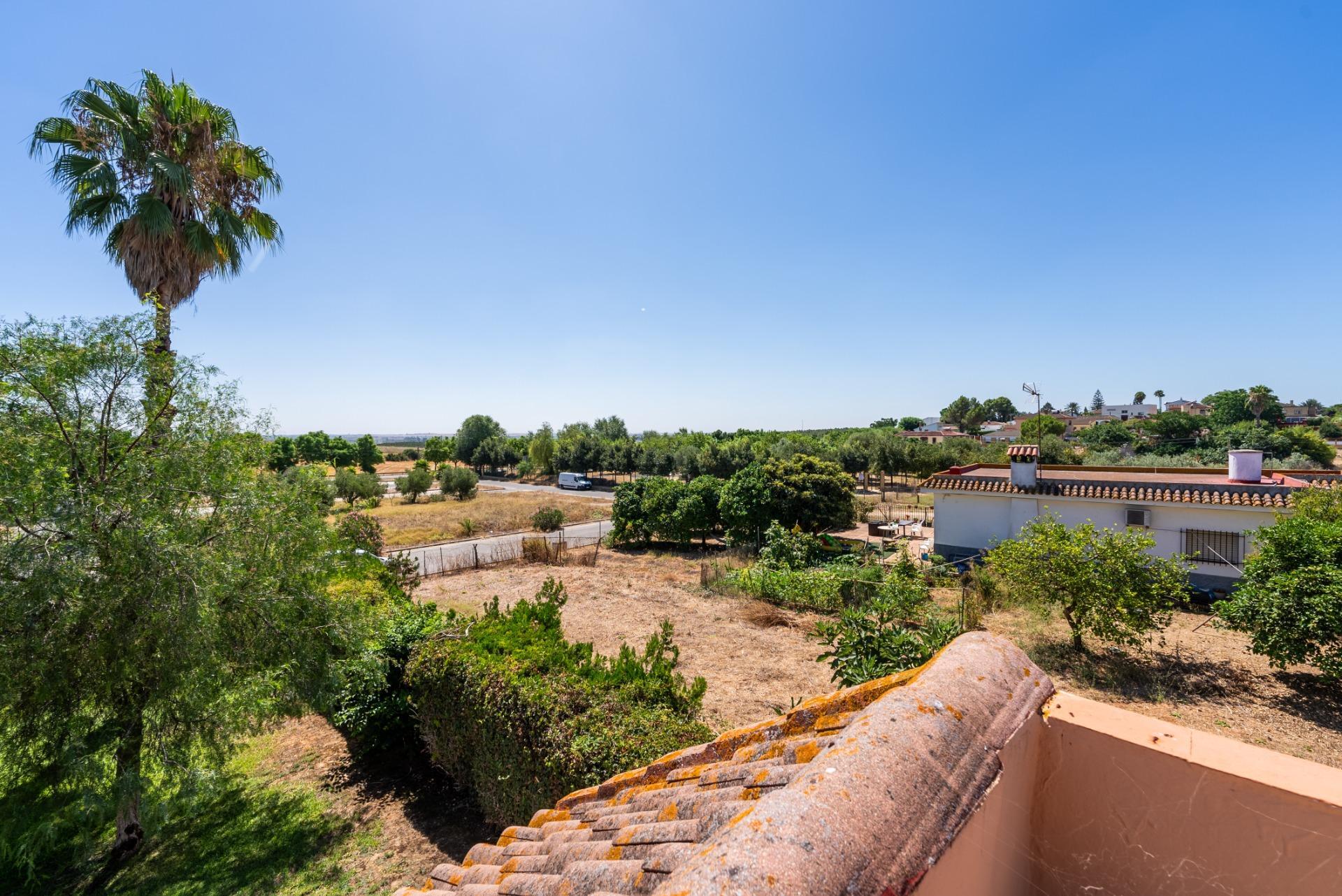 CHALET EN PALOMARES de 1400m2