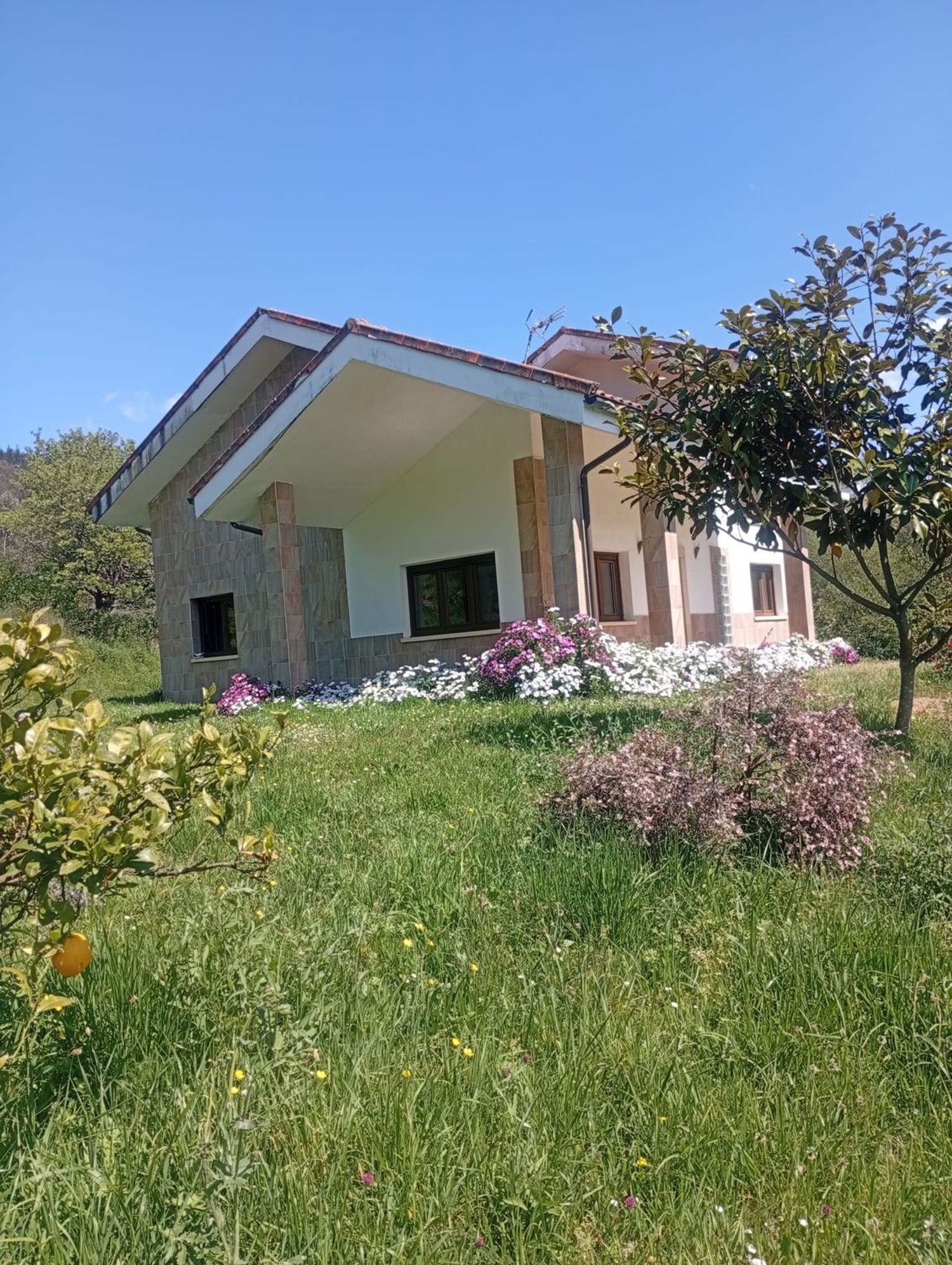 Villa in Siero