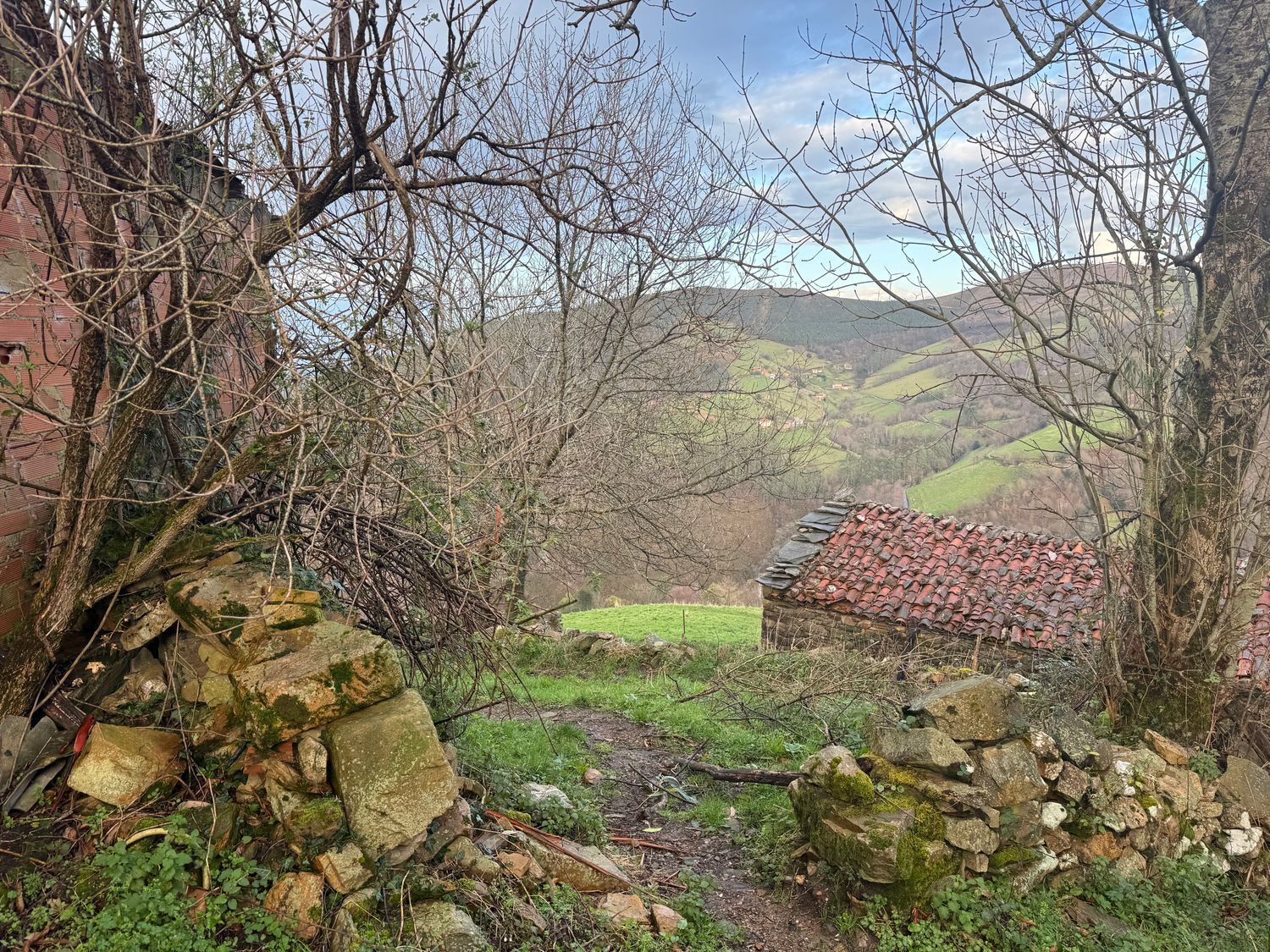 Casas o chalets-Venta-ValdÃ©s-2108375-Foto-12