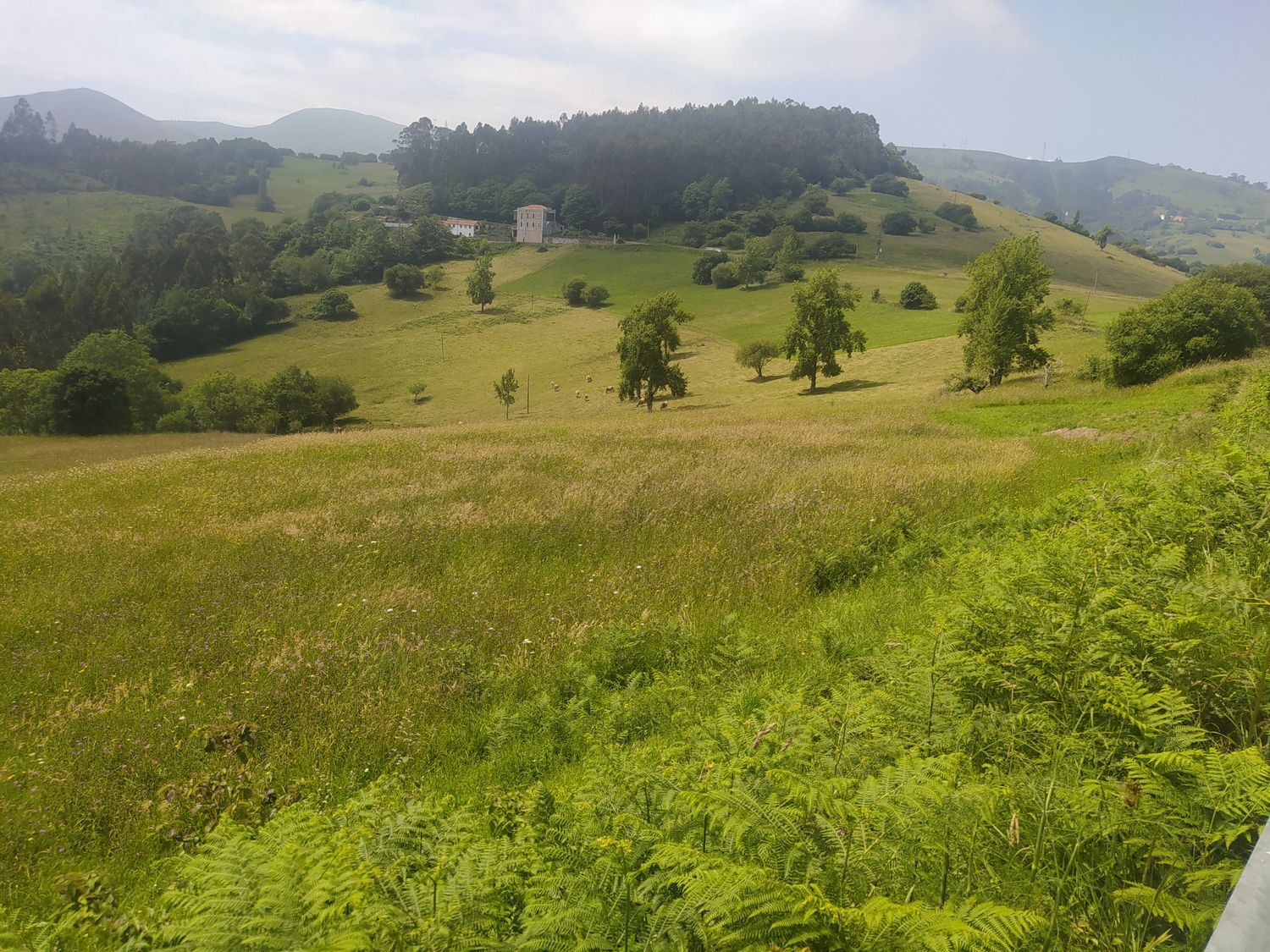 Propiedad en venta en Asturias, Illas