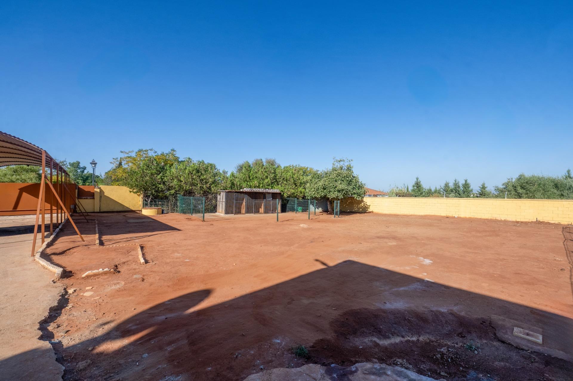 Casas o chalets-Venta-Carmona-2239340-Foto-32