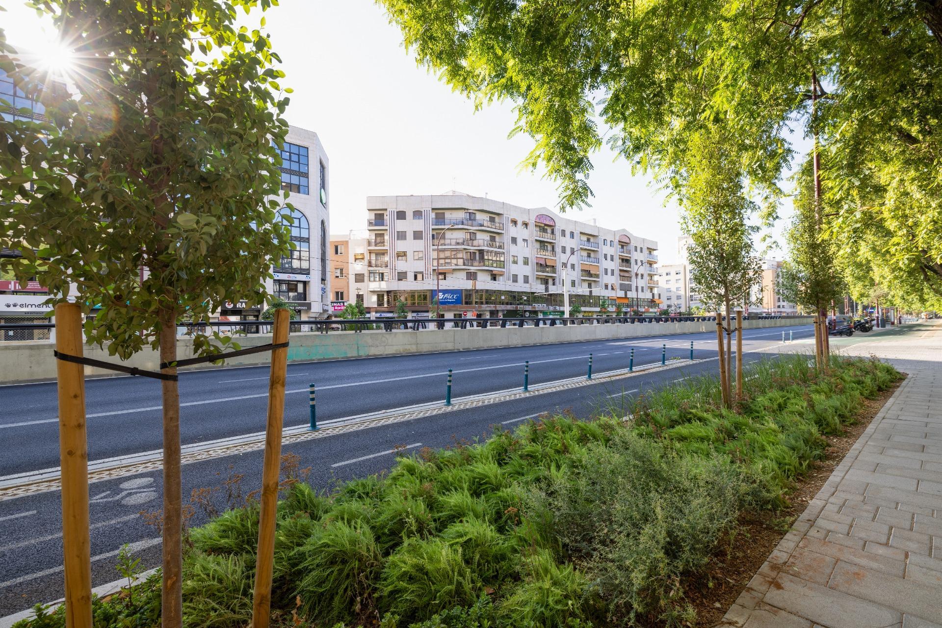 Pisos-Venta-Burguillos-2239343-Foto-31