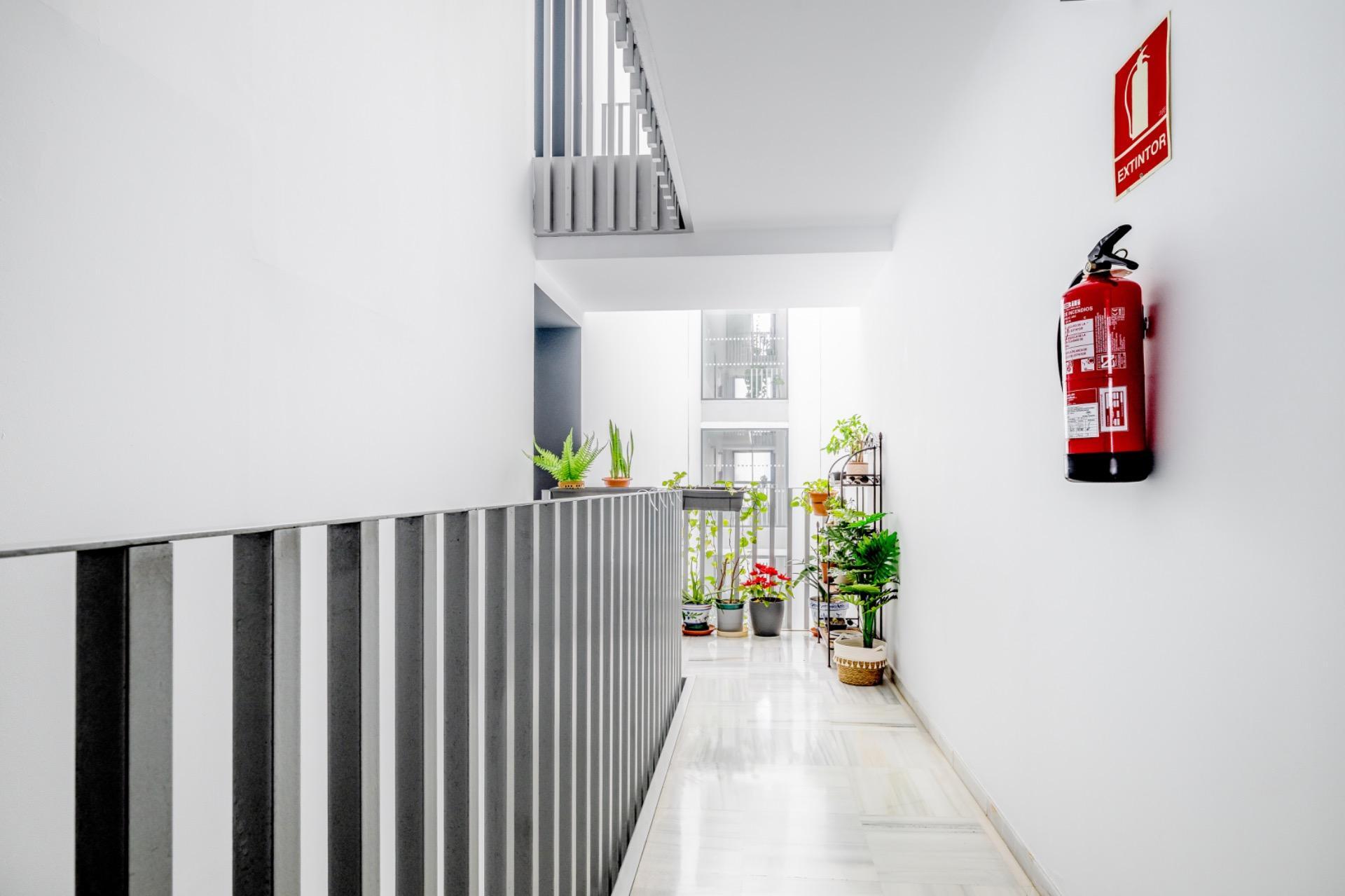 Pisos-Venta-Burguillos-2239361-Foto-29