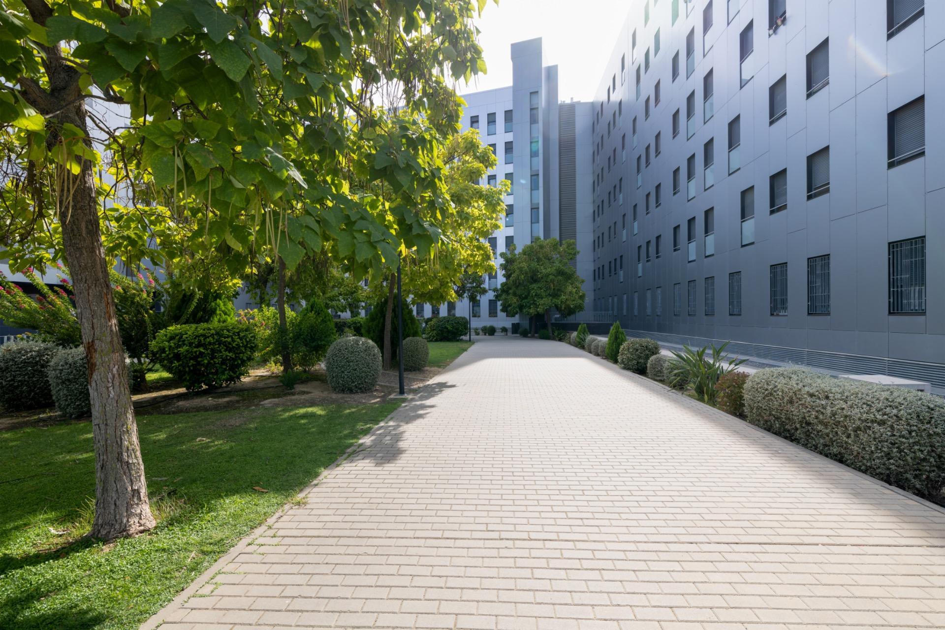 Pisos-Venta-Burguillos-2239361-Foto-33