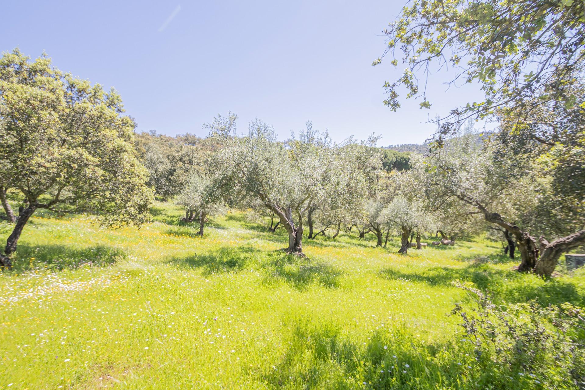 CASA RURAL CON PISCINA