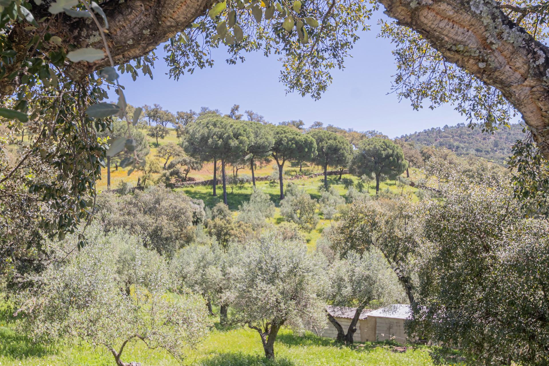 CASA RURAL CON PISCINA