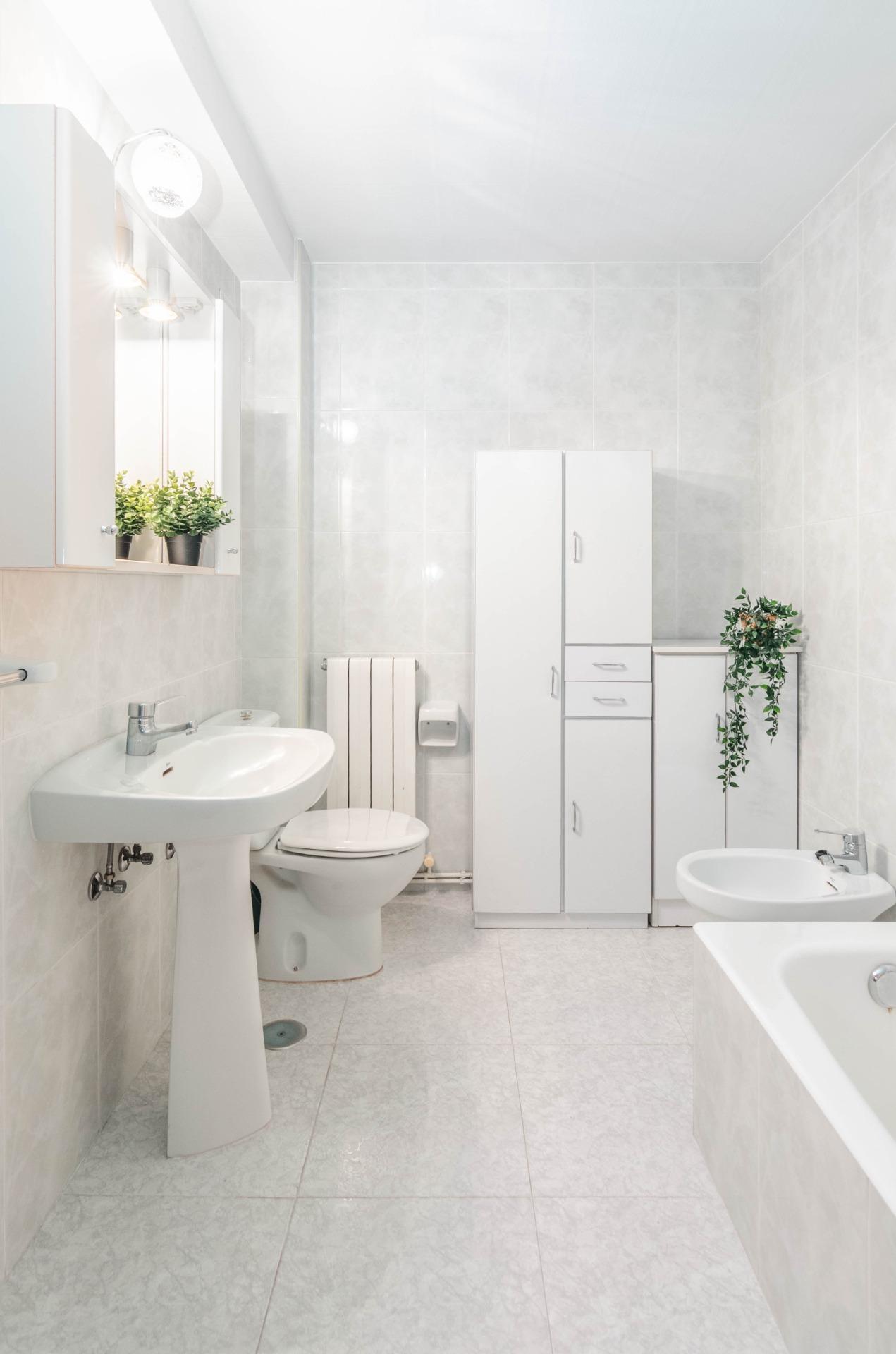 OPORTUNIDAD EN MIERES