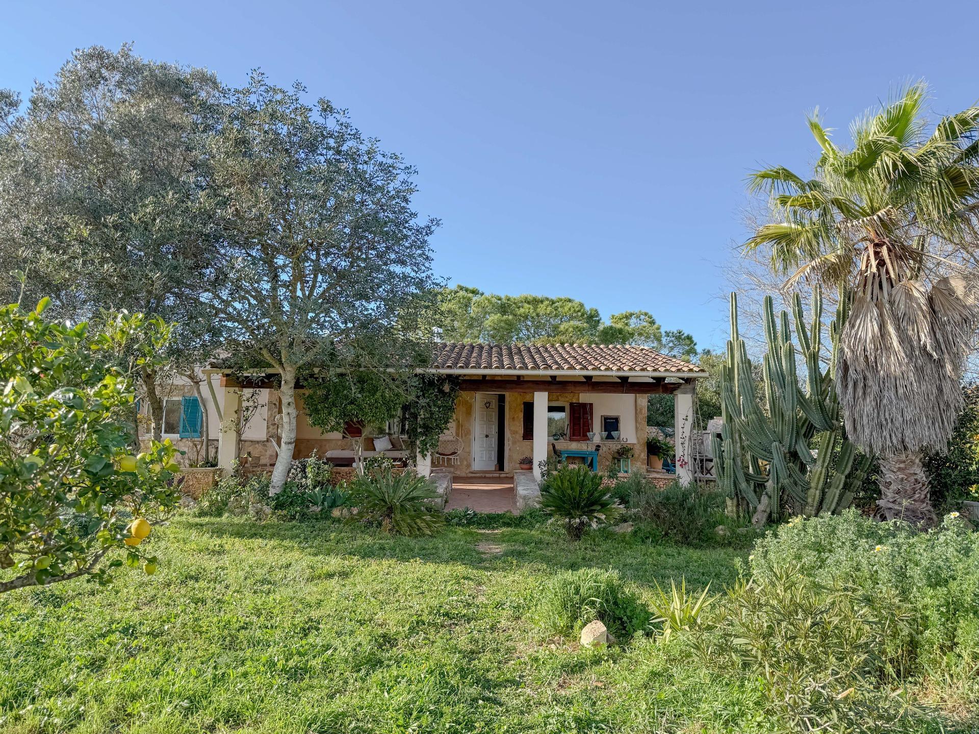 Parcela rústica con construcción existente cerca de Santa Margalida. Sin cédula de habitabilidad