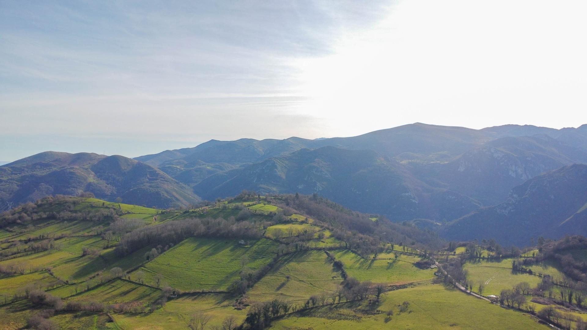 Pisos-Venta-El Grado-2238223-Foto-5